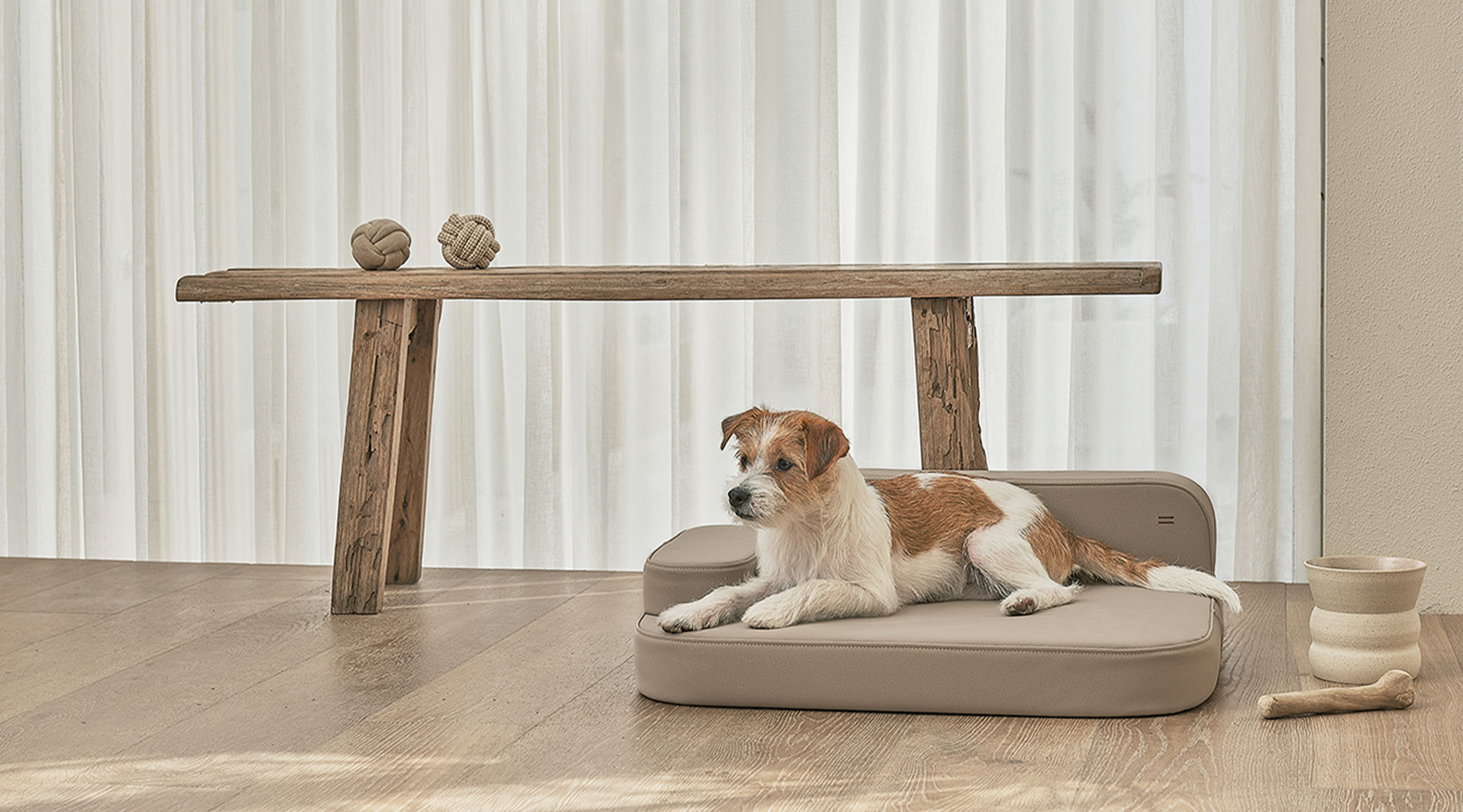 product design，leisure time，Pet accessories，