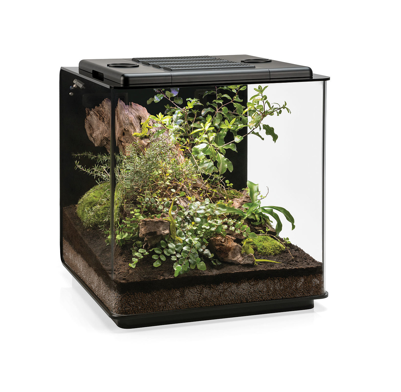 product design，leisure time，zoo，