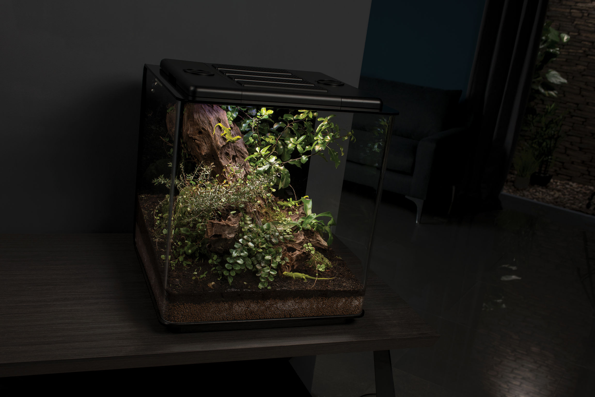 product design，leisure time，zoo，