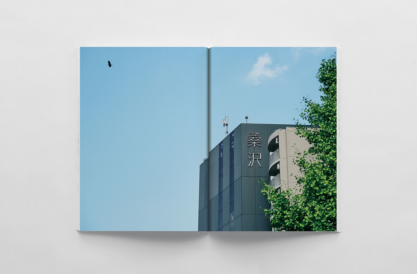Communication design，Printed publications，guide，