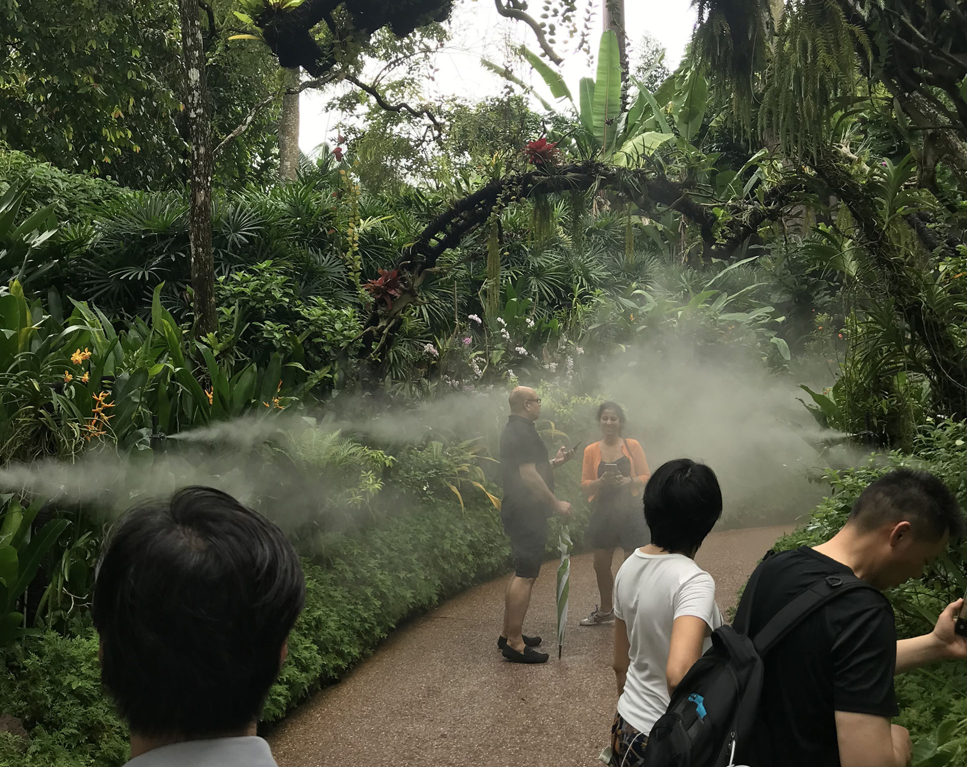 product design，Industry/Tools，Water mist spraying system，