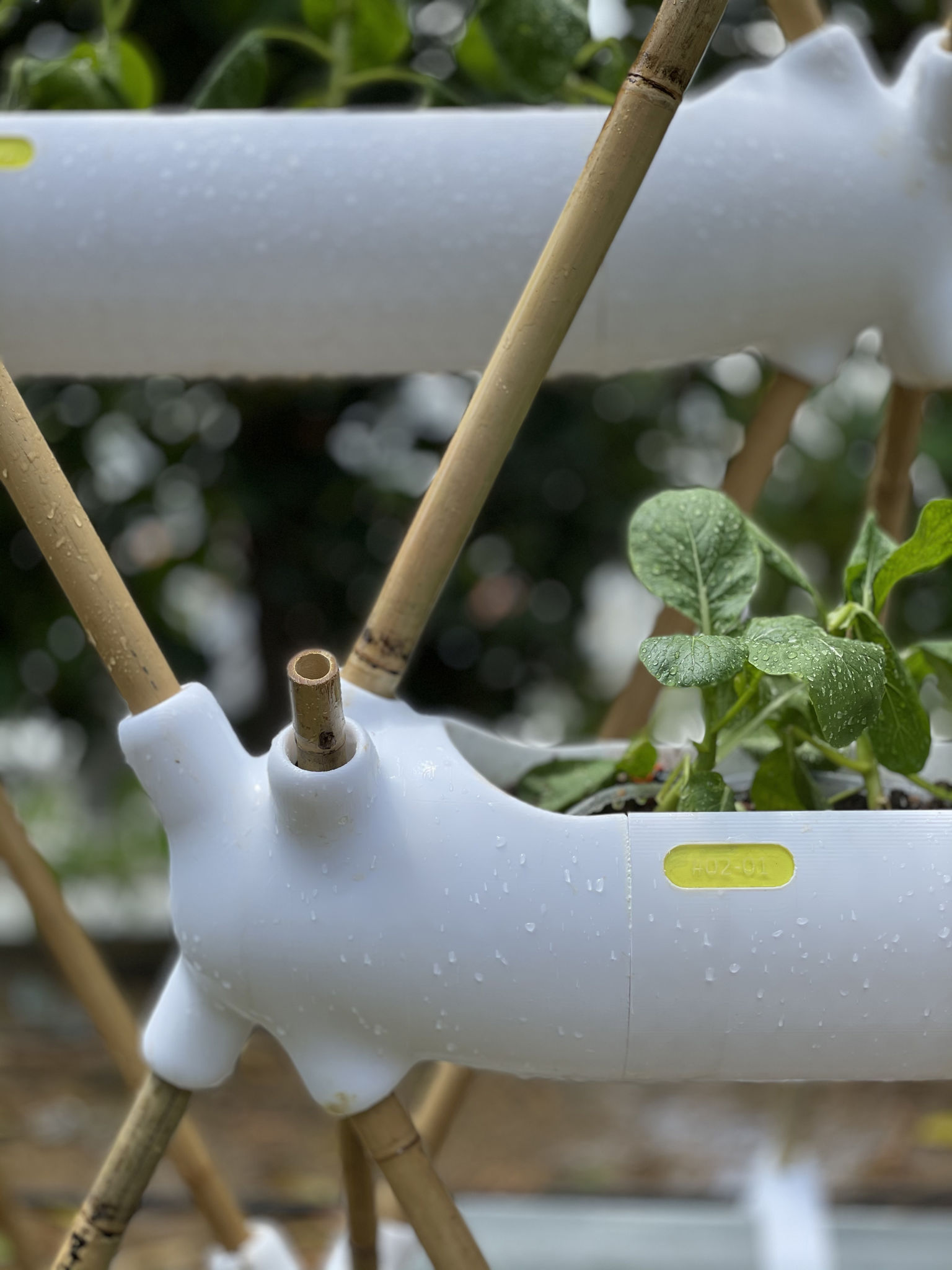 product design，courtyard，Biodegradable agricultural module，