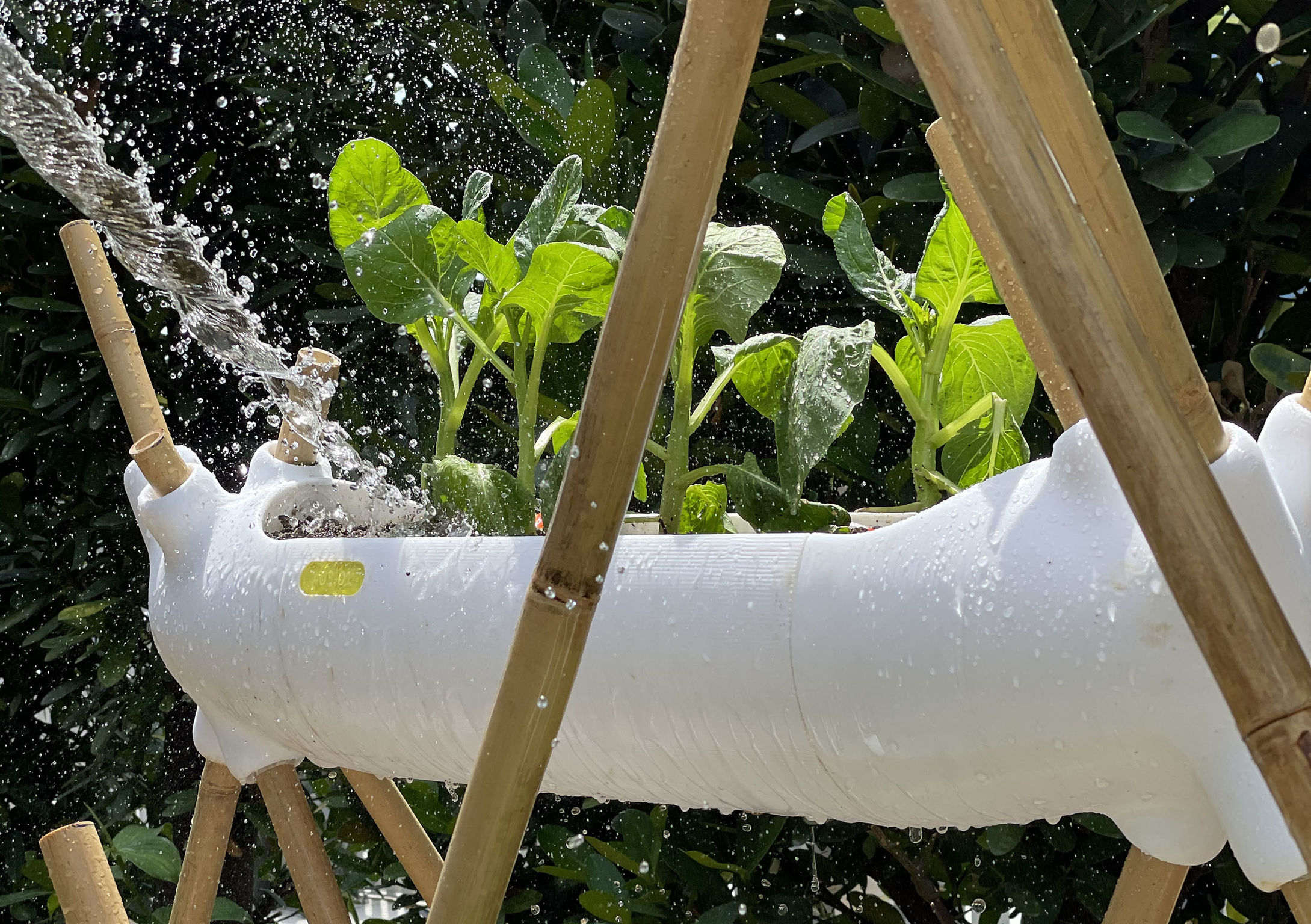 product design，courtyard，Biodegradable agricultural module，