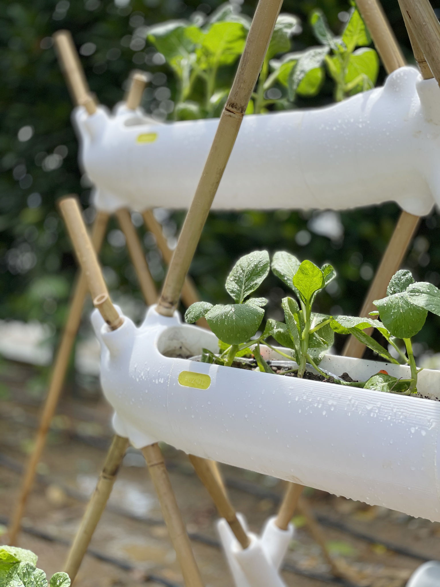 product design，courtyard，Biodegradable agricultural module，