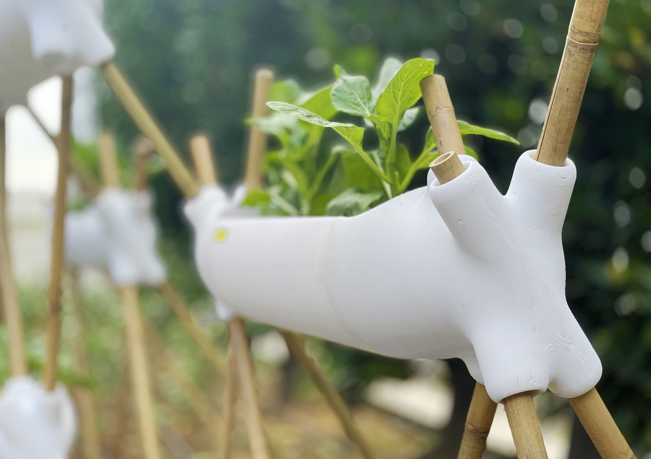 product design，courtyard，Biodegradable agricultural module，