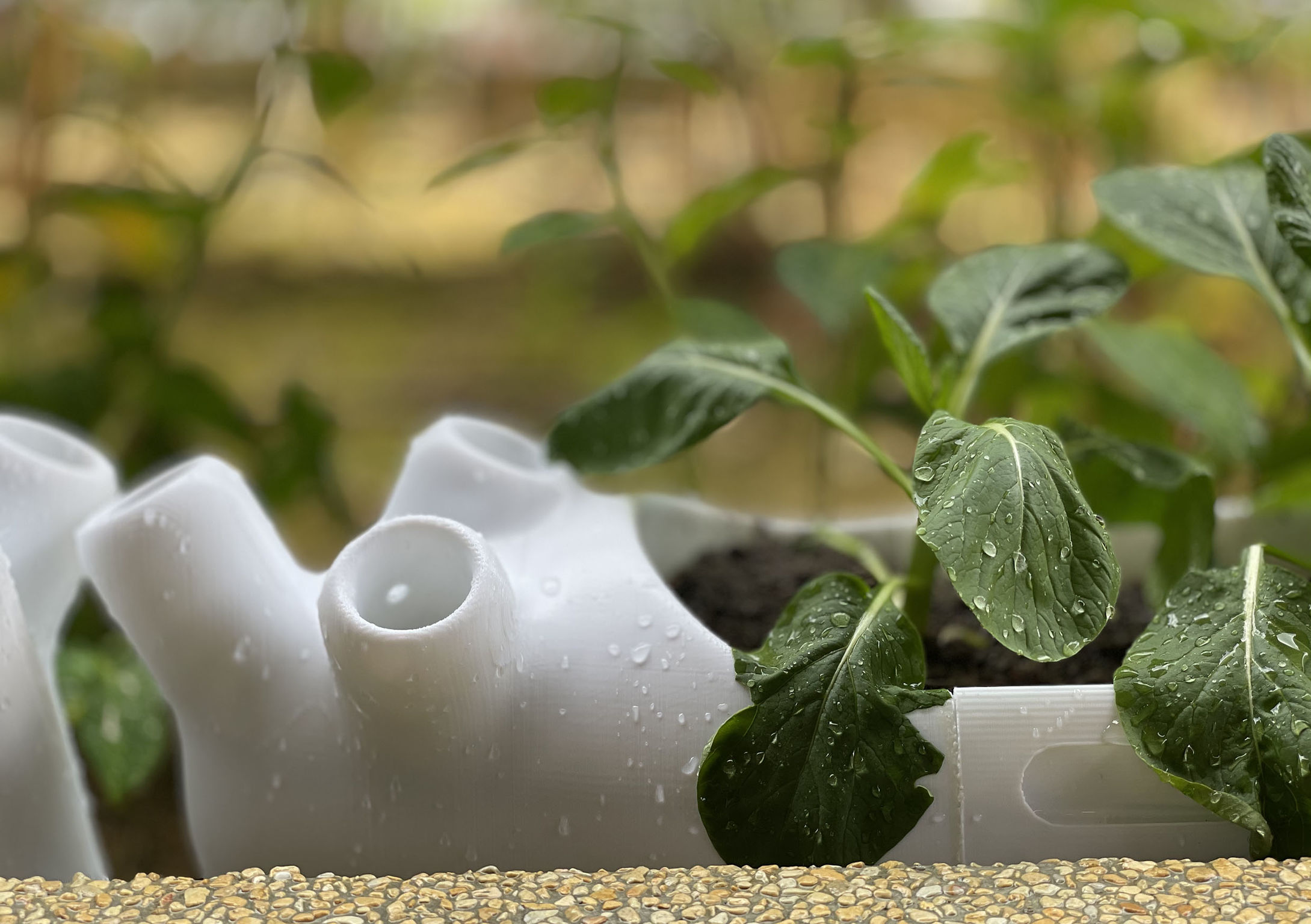 product design，courtyard，Biodegradable agricultural module，