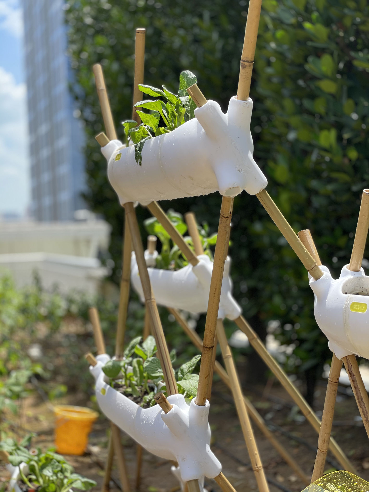 product design，courtyard，Biodegradable agricultural module，