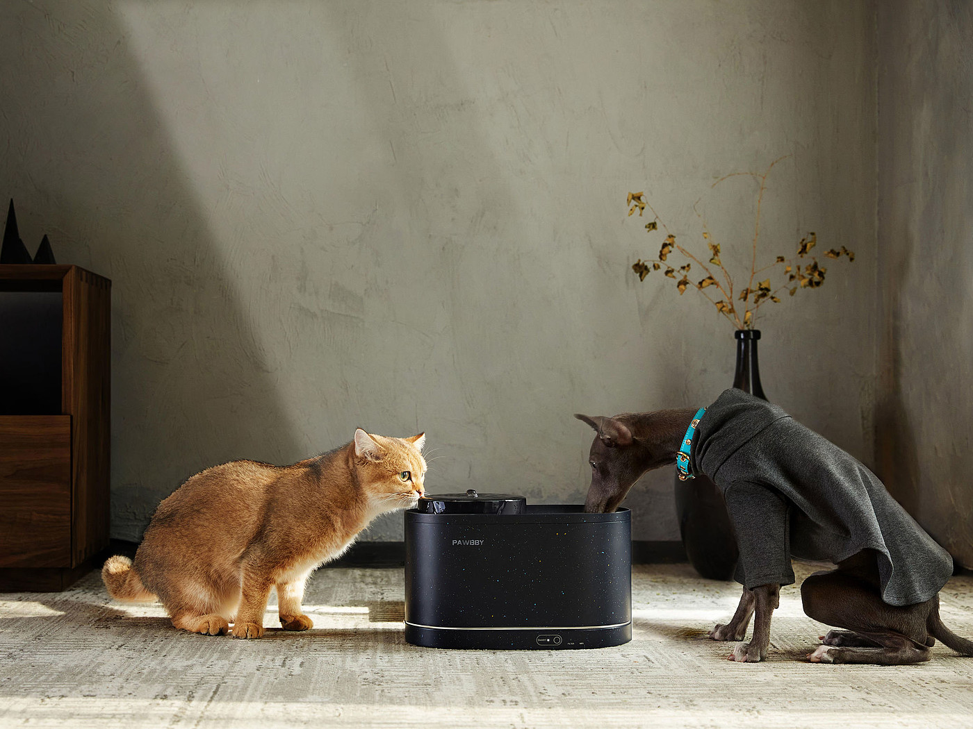 product design，leisure time，Pet accessories，