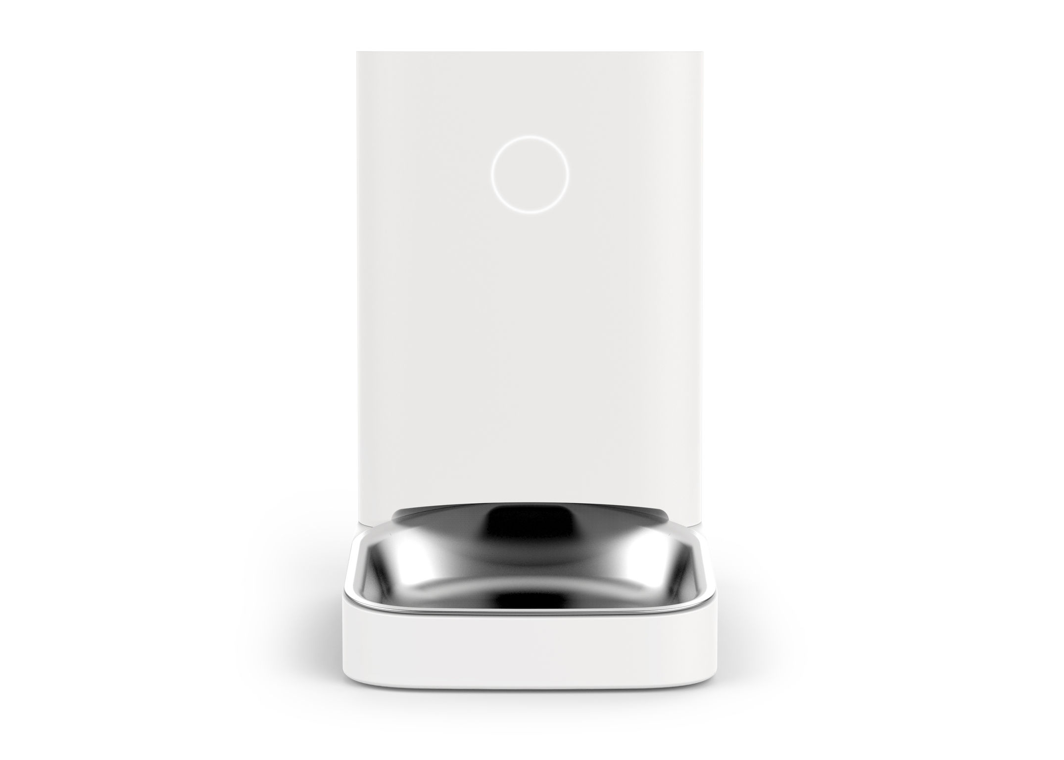 product design，leisure time，Pet accessories，