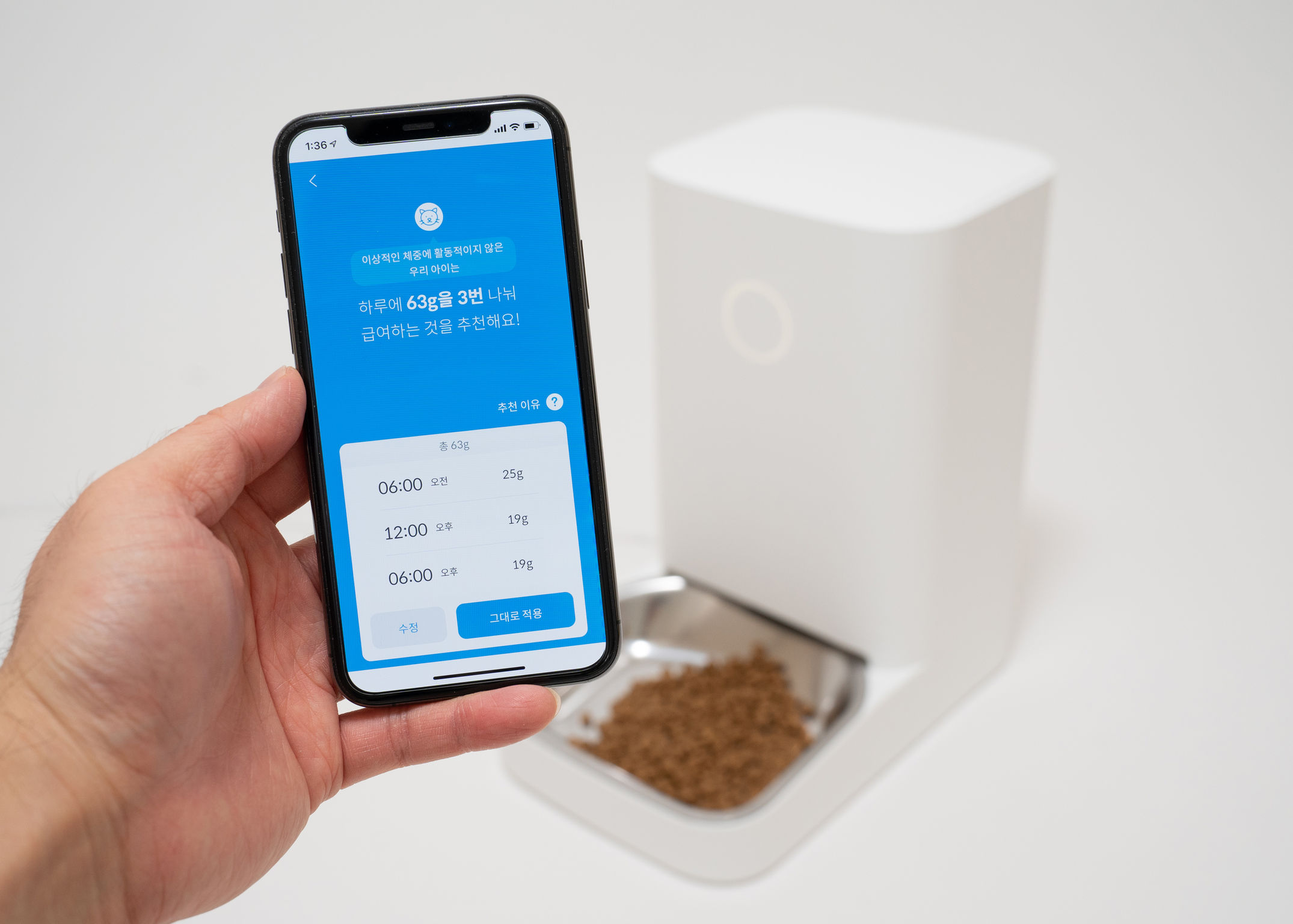 product design，leisure time，Pet accessories，