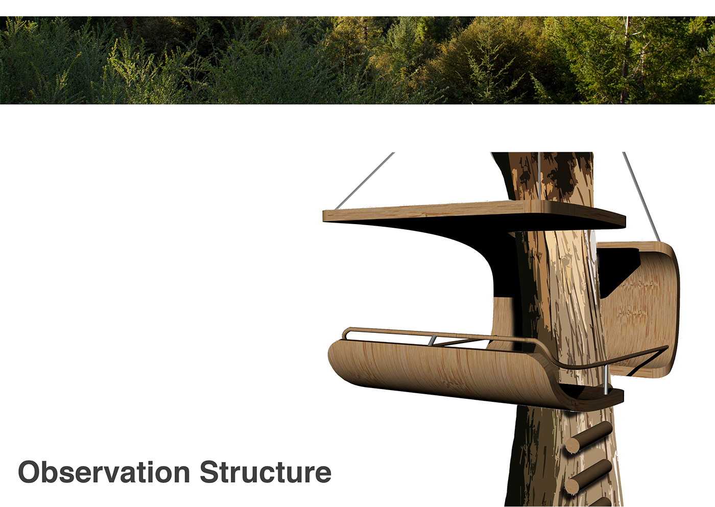 MUJI，telescope，MY ZOO，