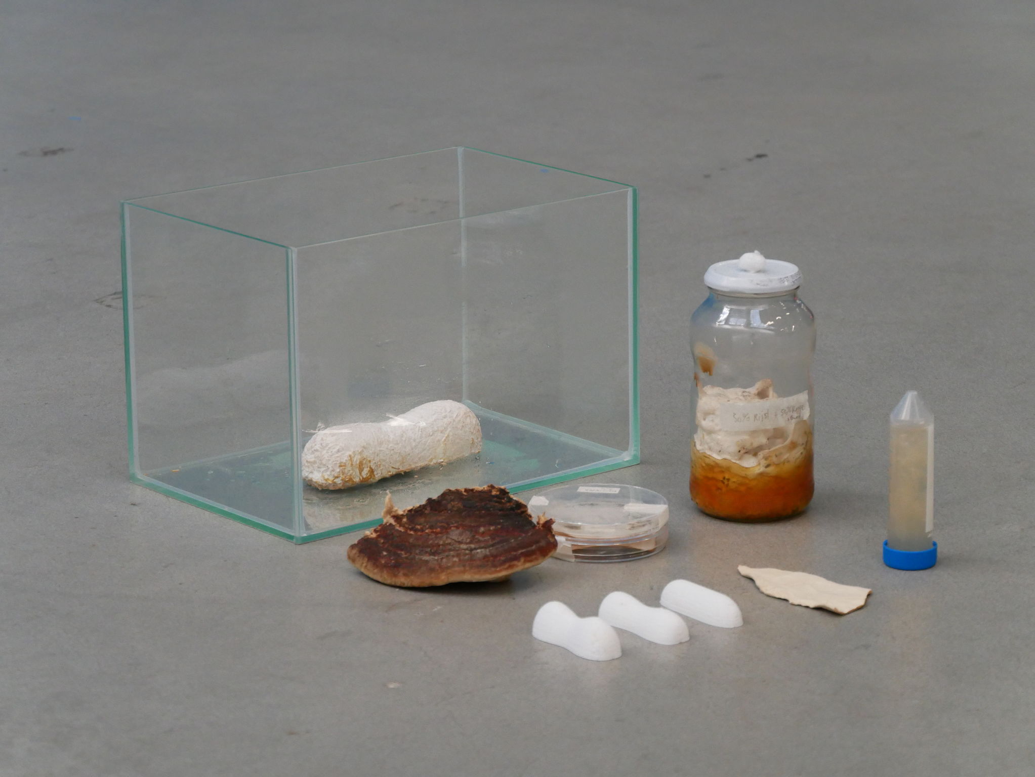 product design，Public Design/Retail Projects，Degradable coffin，