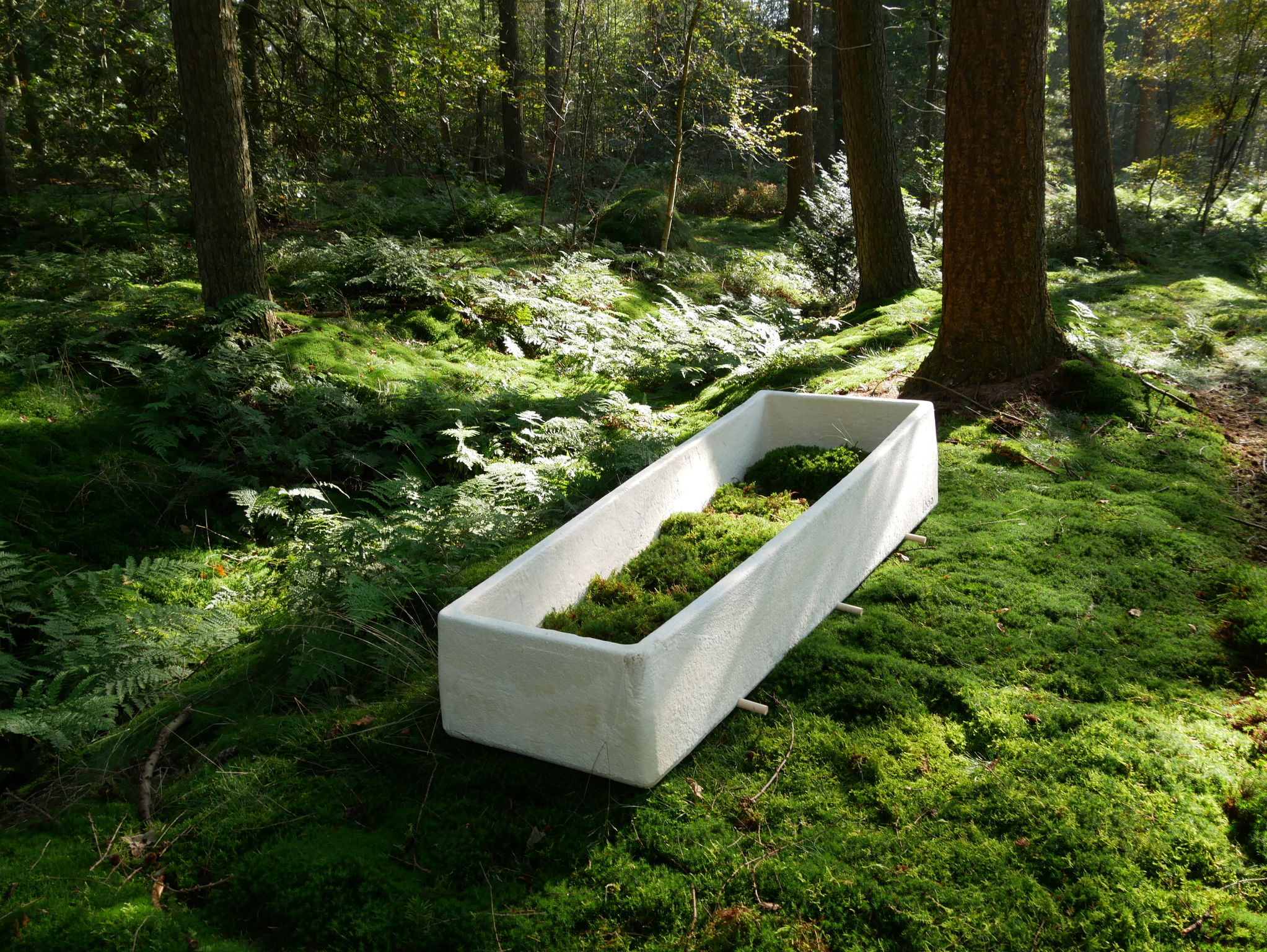 product design，Public Design/Retail Projects，Degradable coffin，