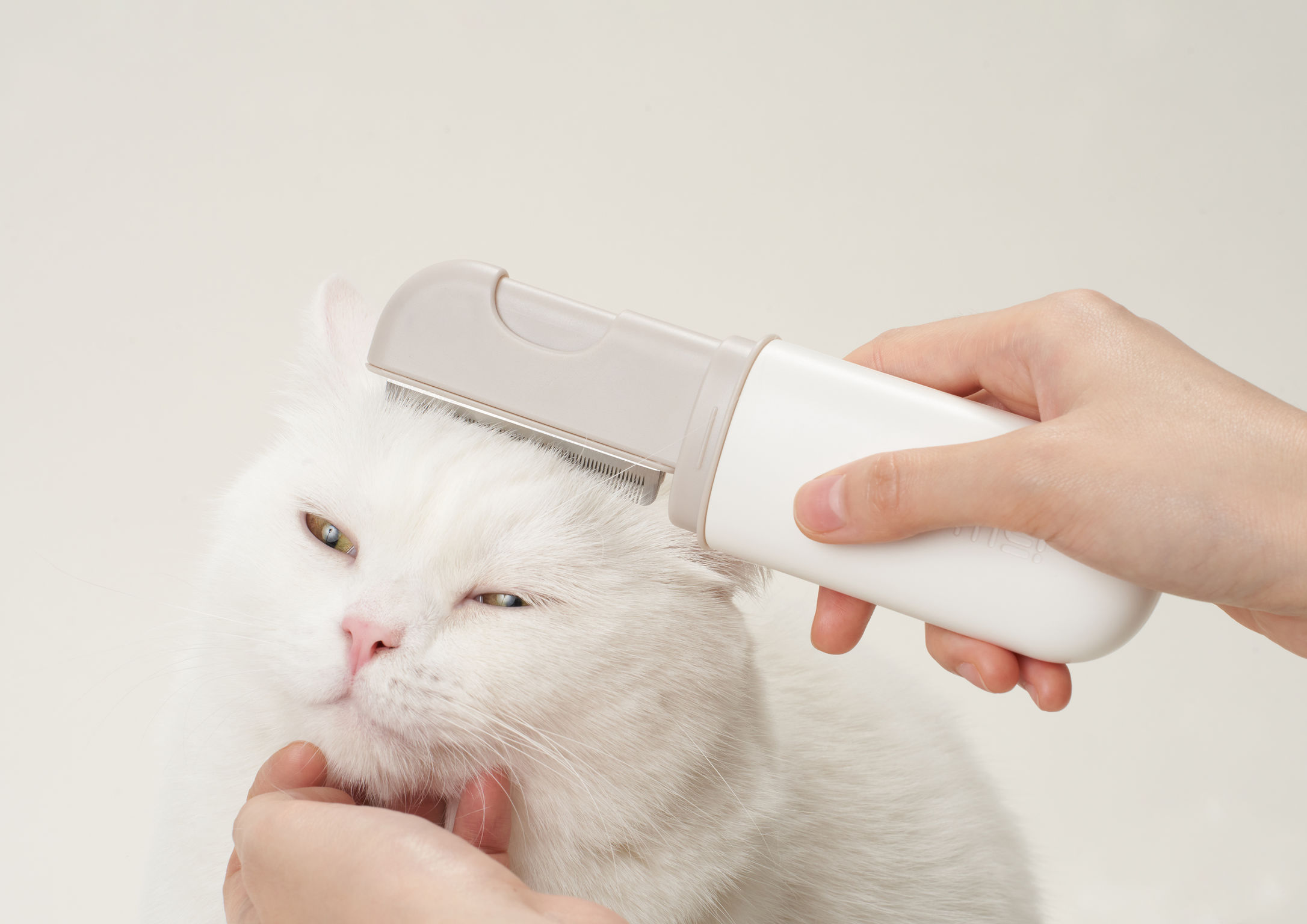 product design，leisure time，Pet accessories，