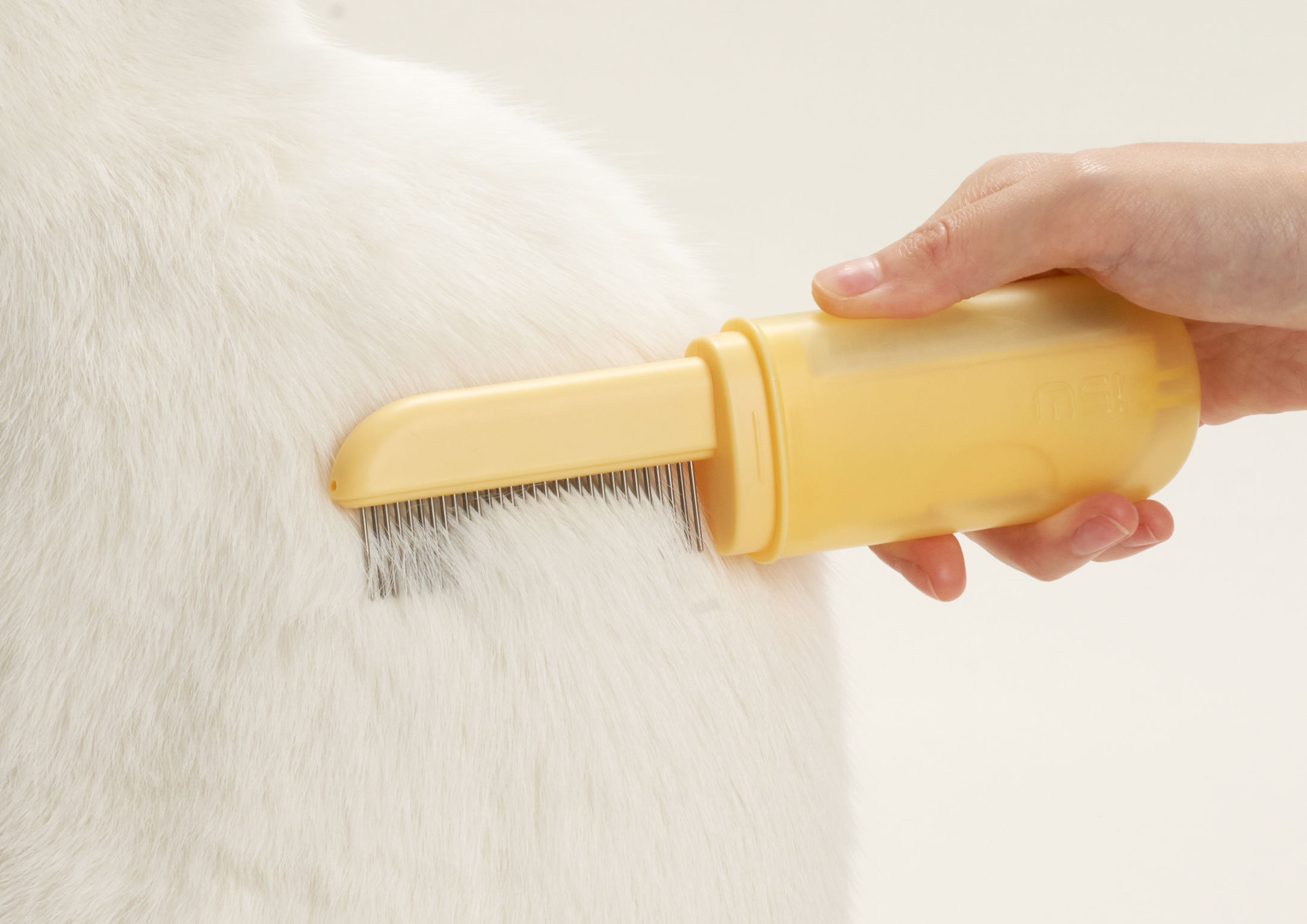 product design，leisure time，Pet accessories，