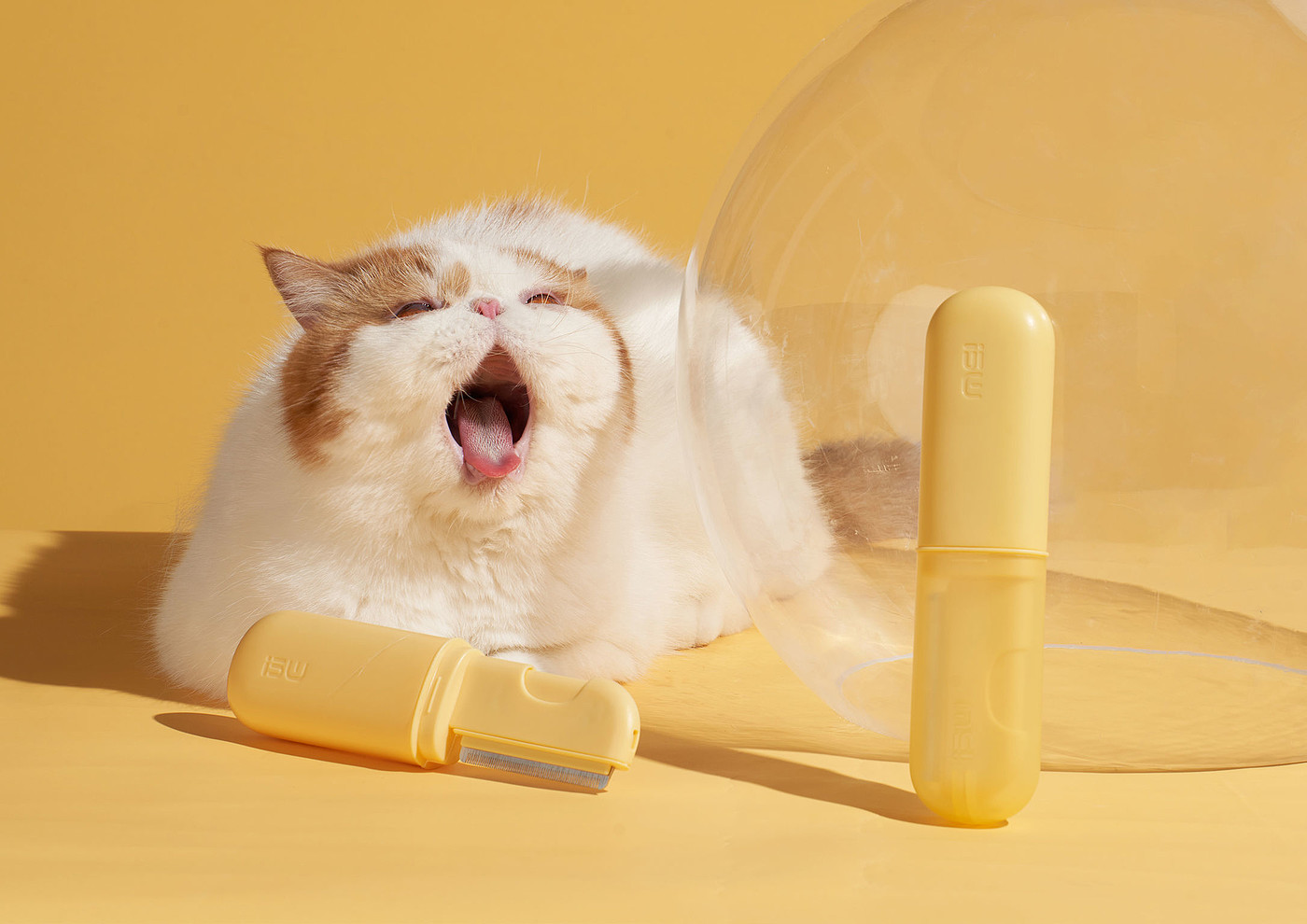 product design，leisure time，Pet accessories，