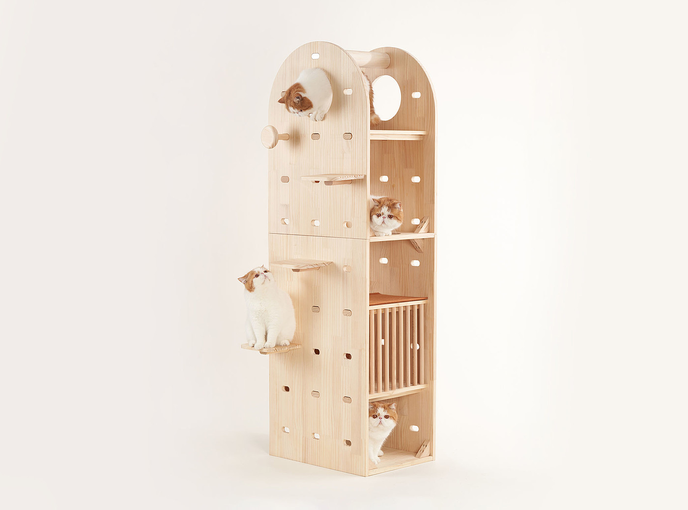 product design，leisure time，Pet accessories，