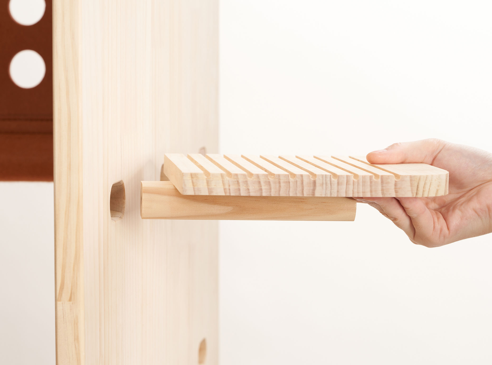 product design，leisure time，Pet accessories，