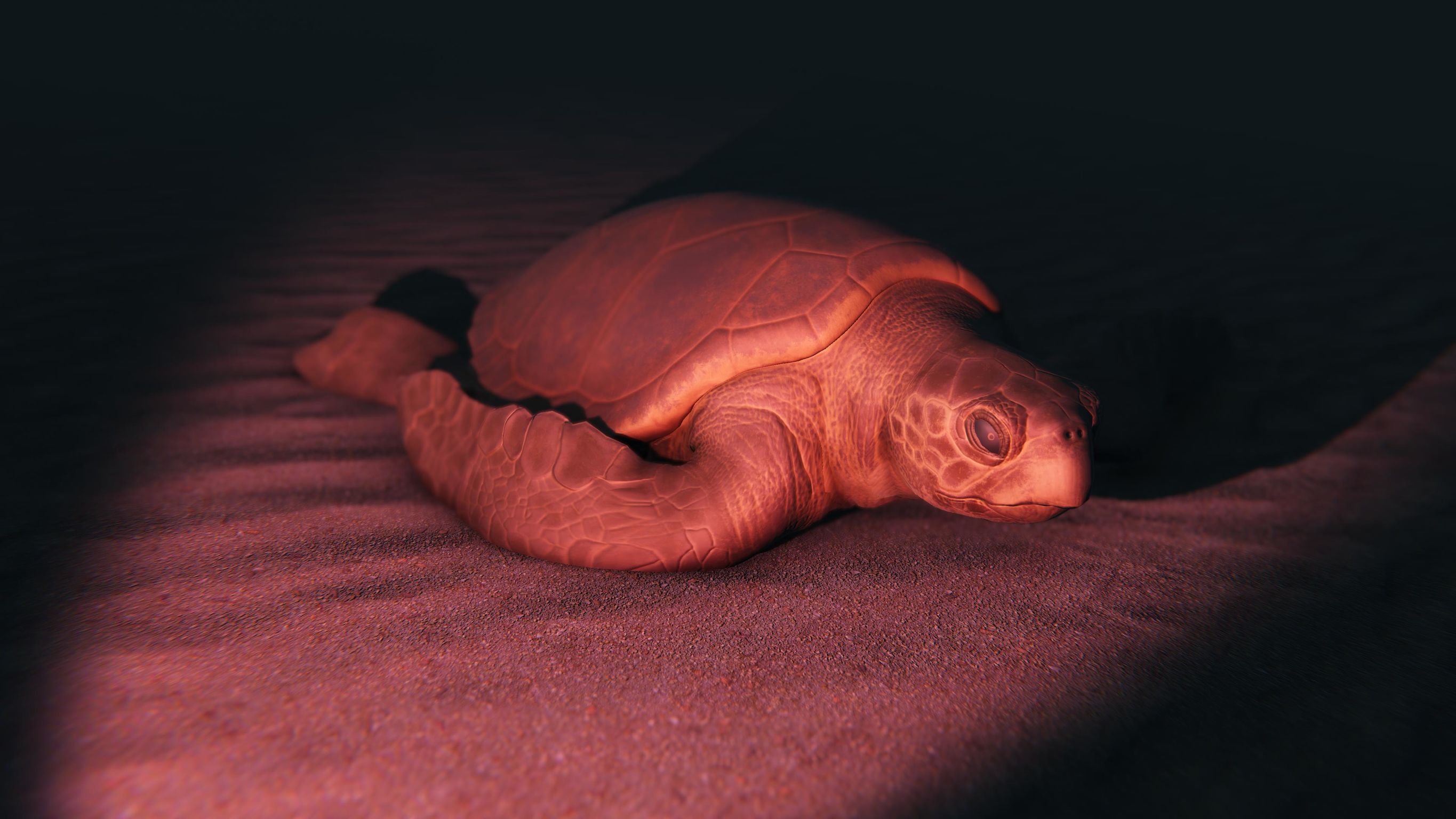 User experience (UX)，Product design UX，Virtual training tools，