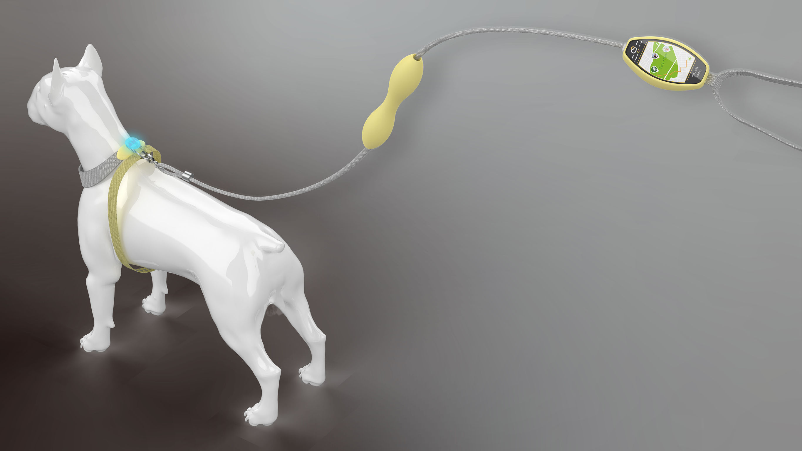 product design，leisure time，Pet accessories，