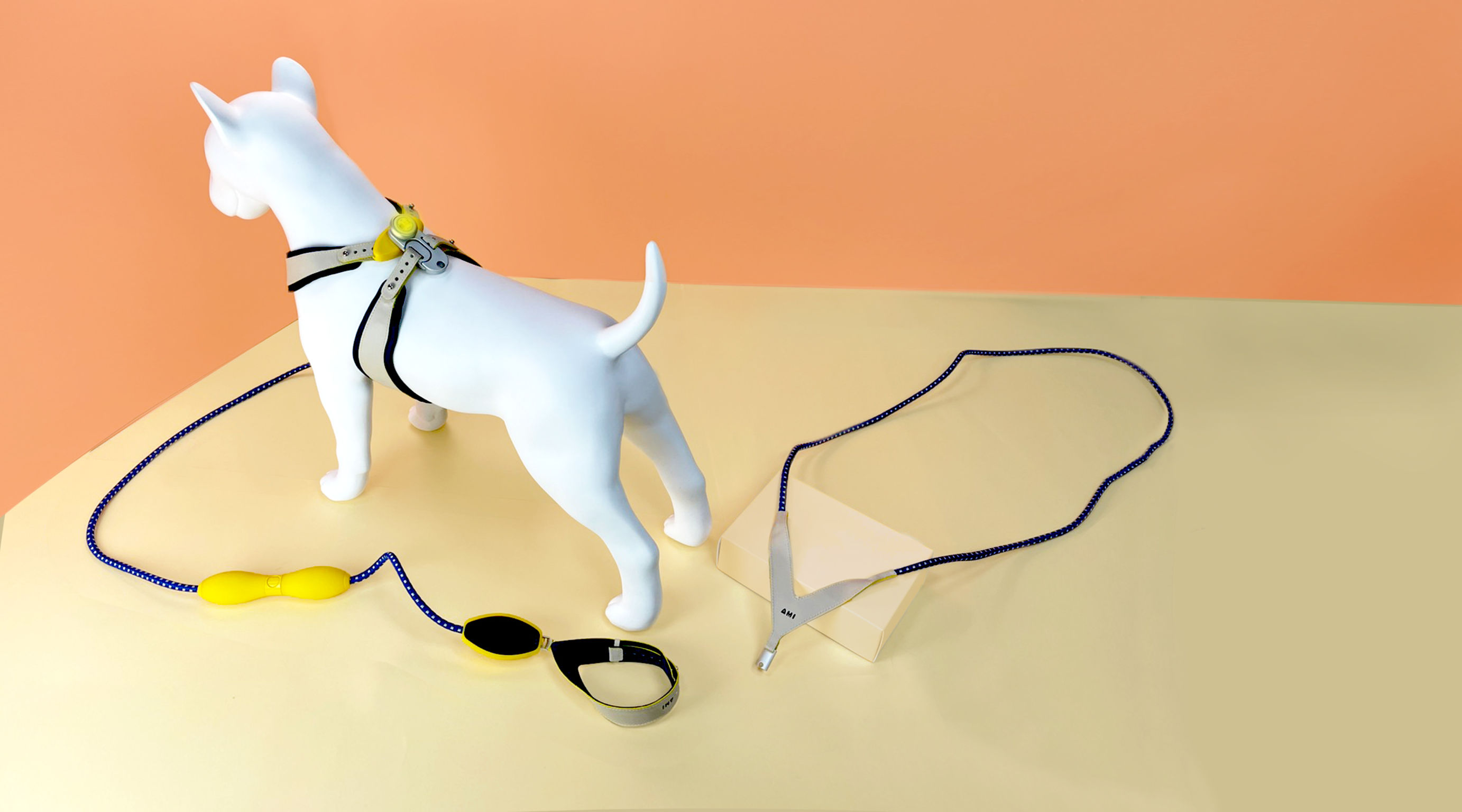 product design，leisure time，Pet accessories，