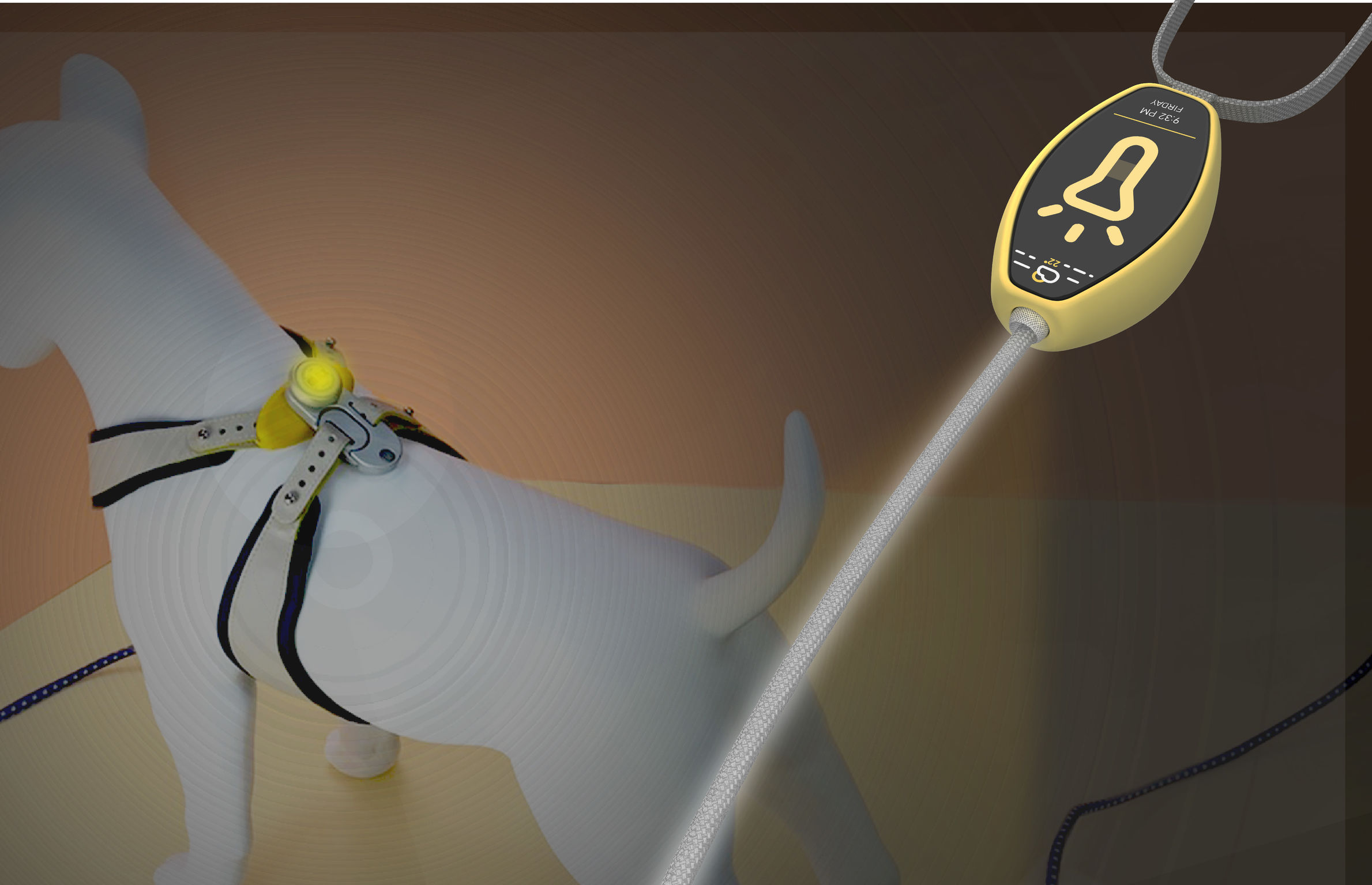 product design，leisure time，Pet accessories，