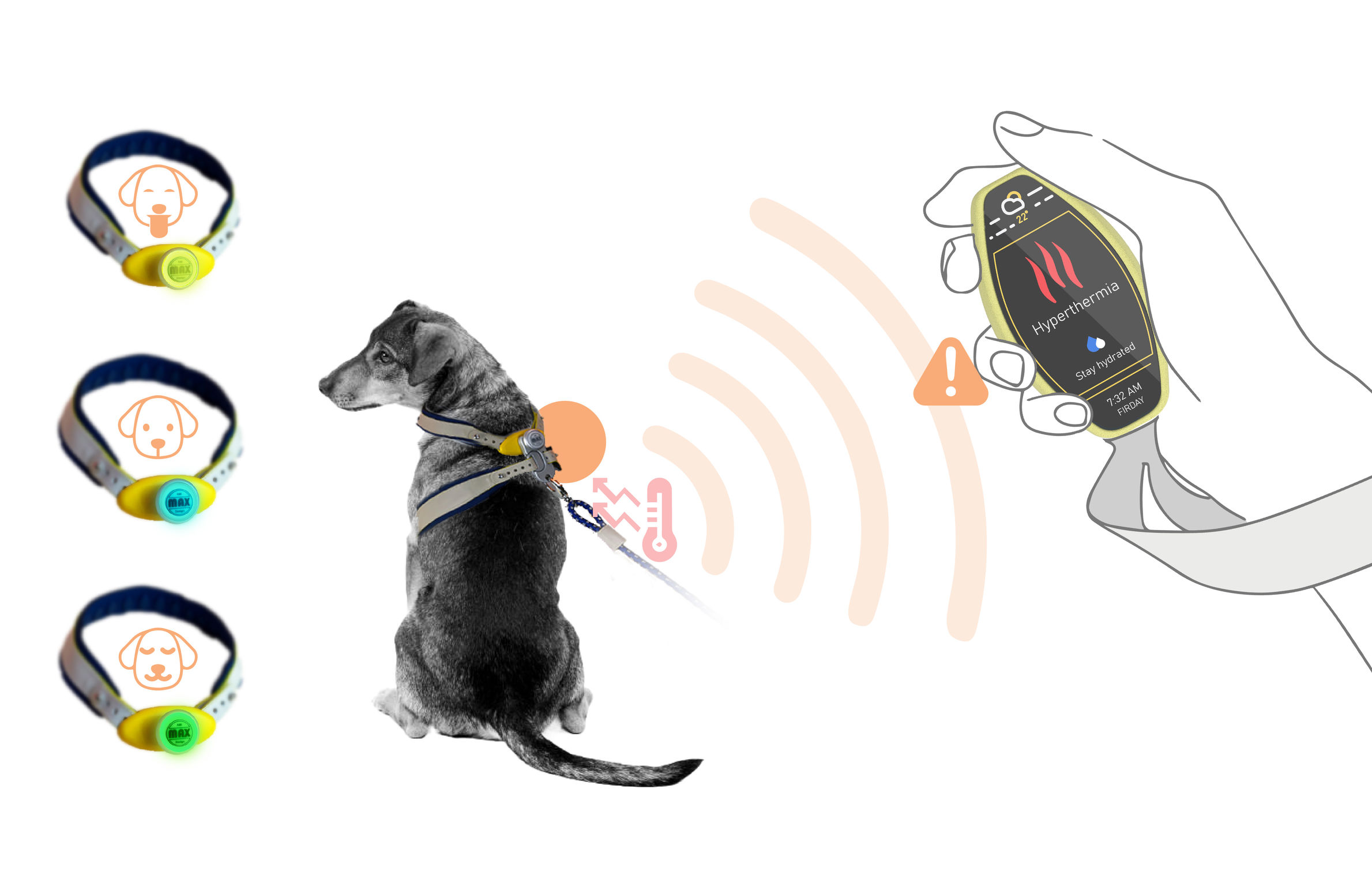 product design，leisure time，Pet accessories，