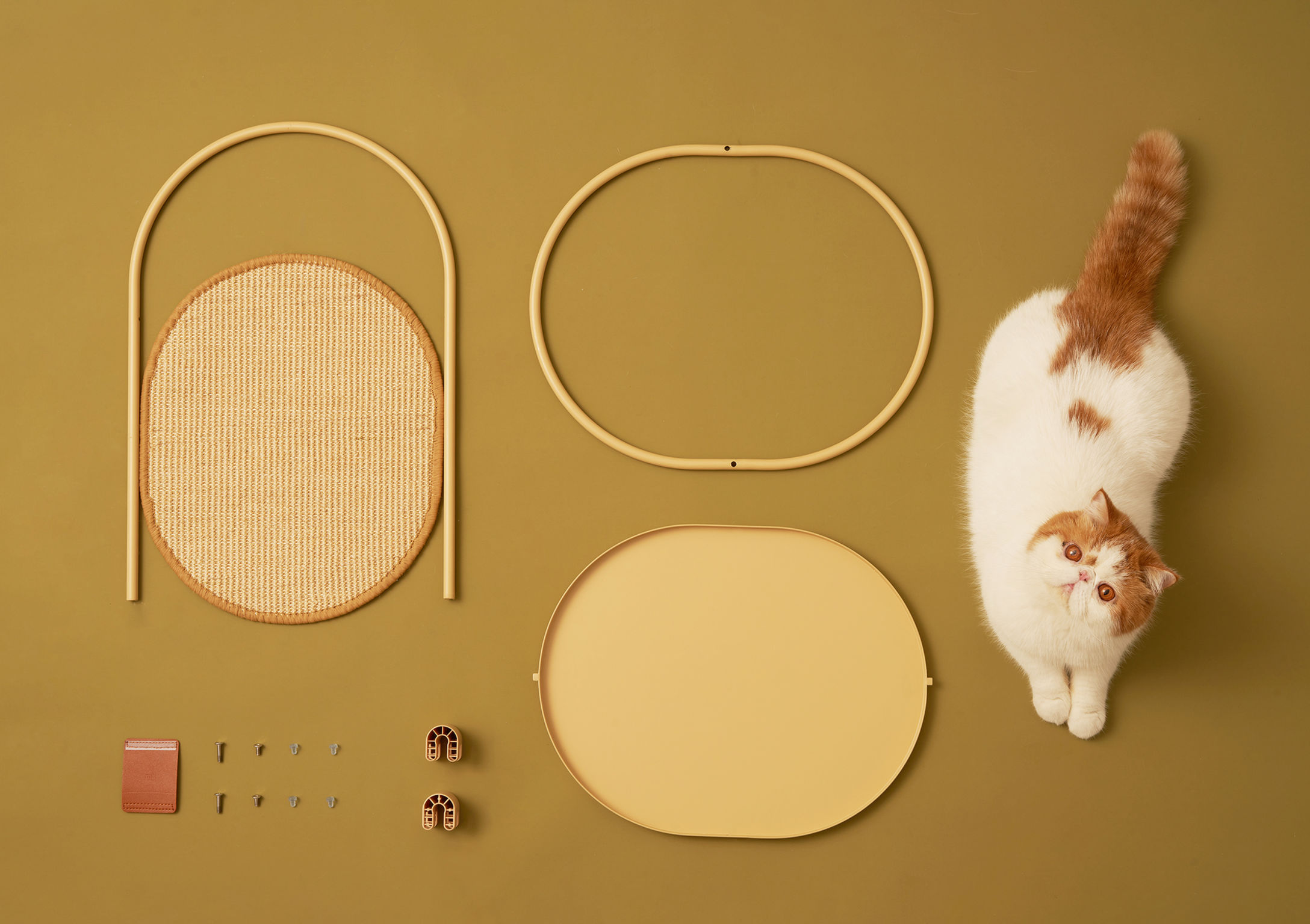 product design，leisure time，Pet accessories，