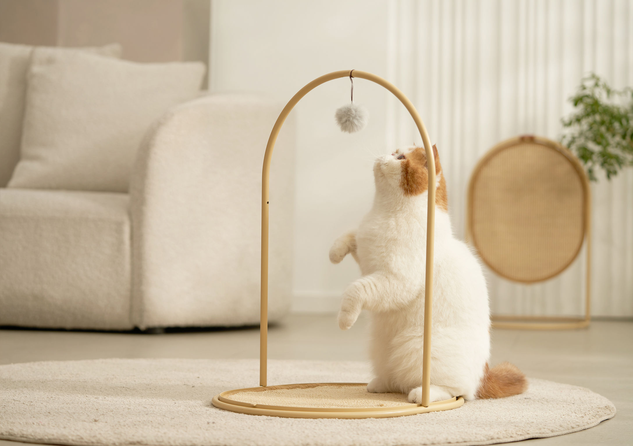 product design，leisure time，Pet accessories，