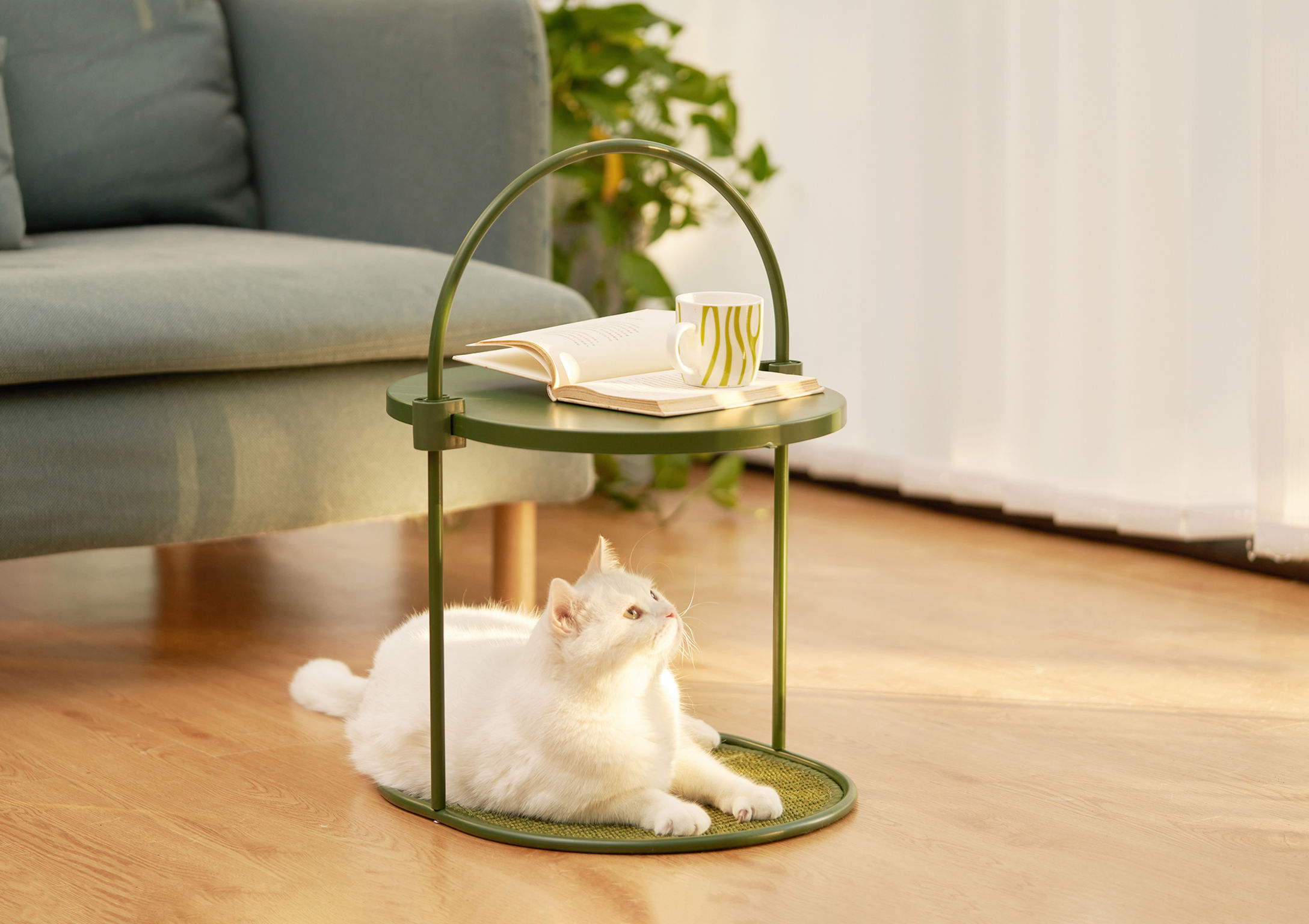 product design，leisure time，Pet accessories，