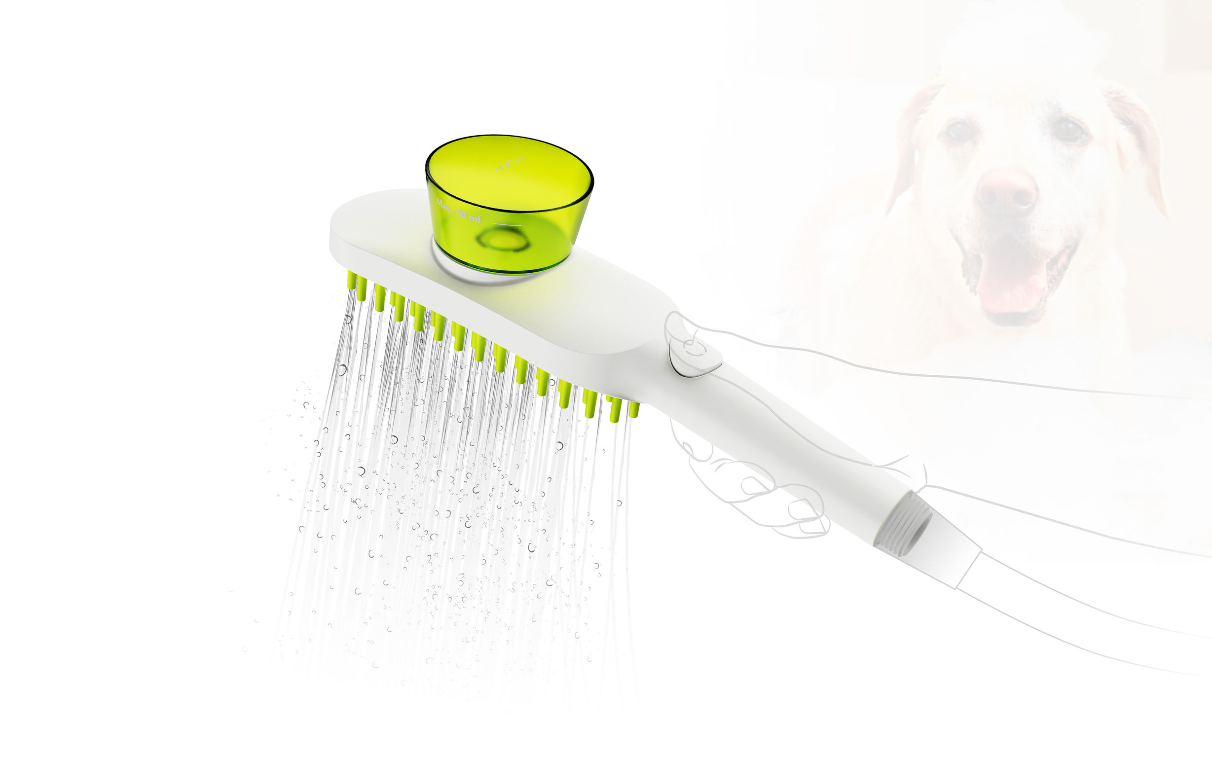 product design，leisure time，Pet accessories，