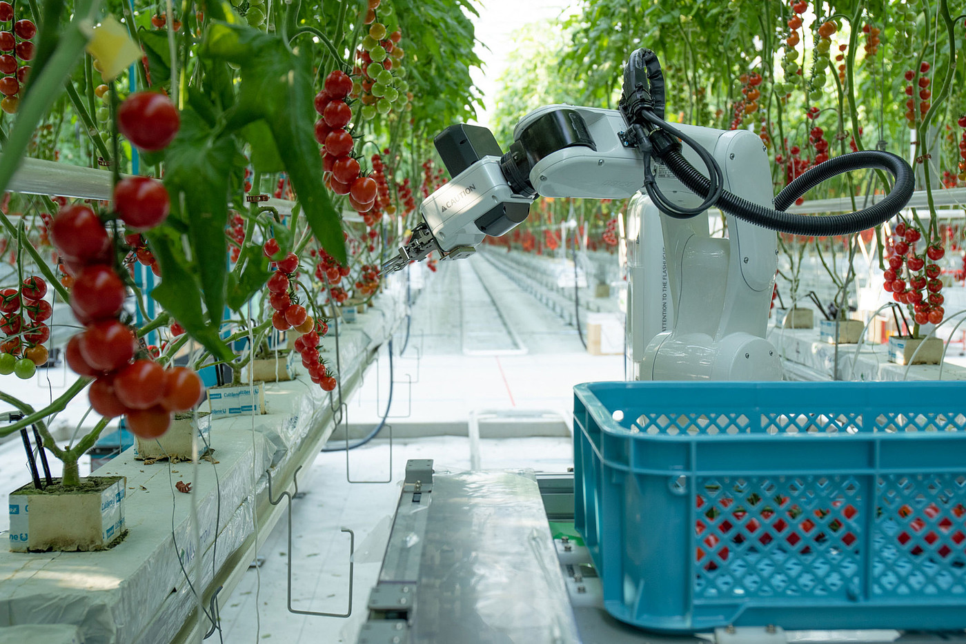 product design，Industry/Tools，Agricultural robot，