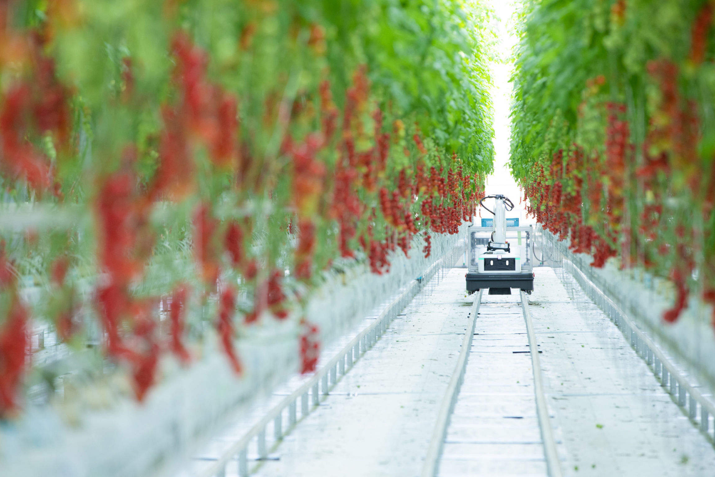 product design，Industry/Tools，Agricultural robot，