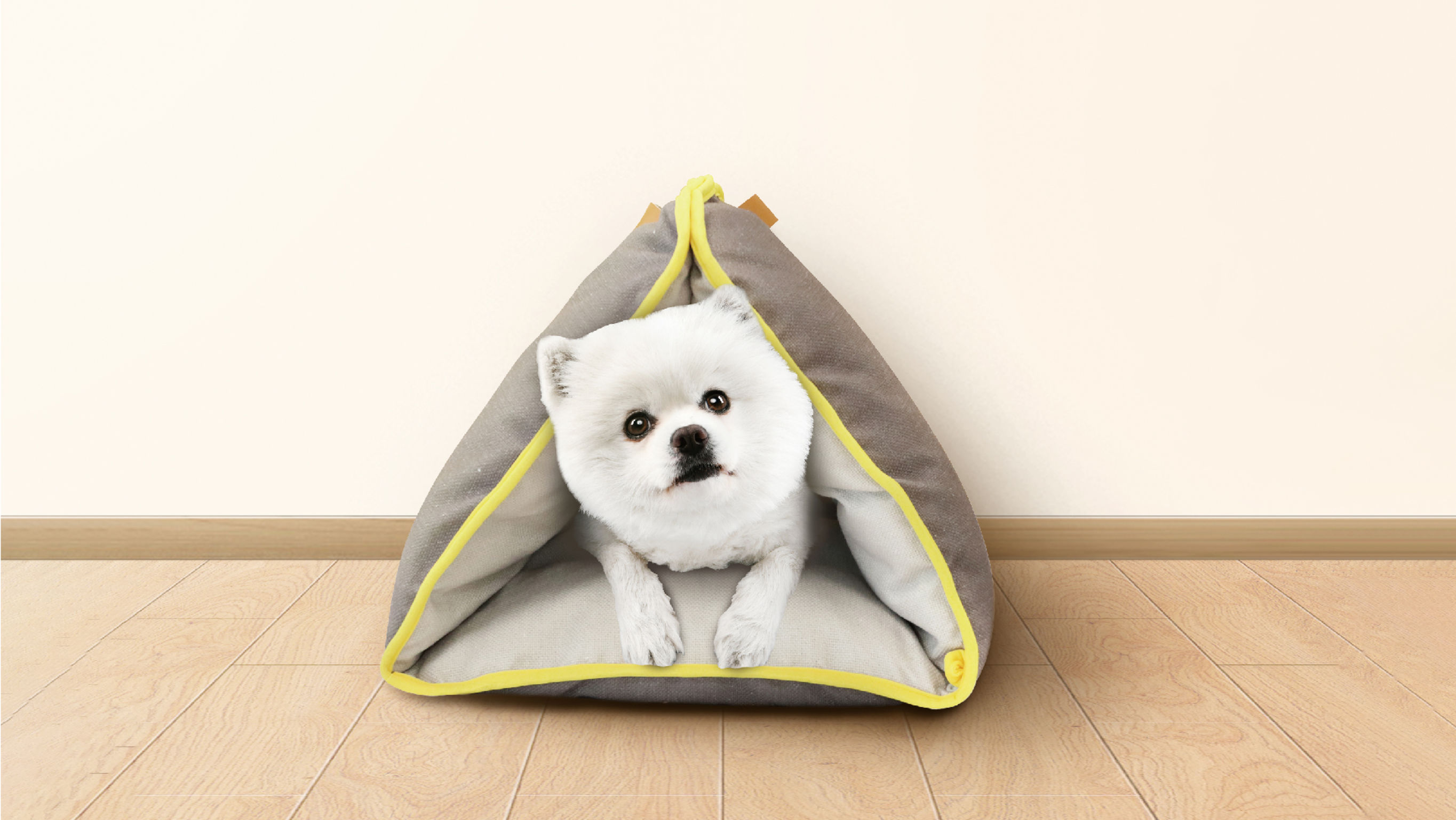 product design，leisure time，Pet accessories，