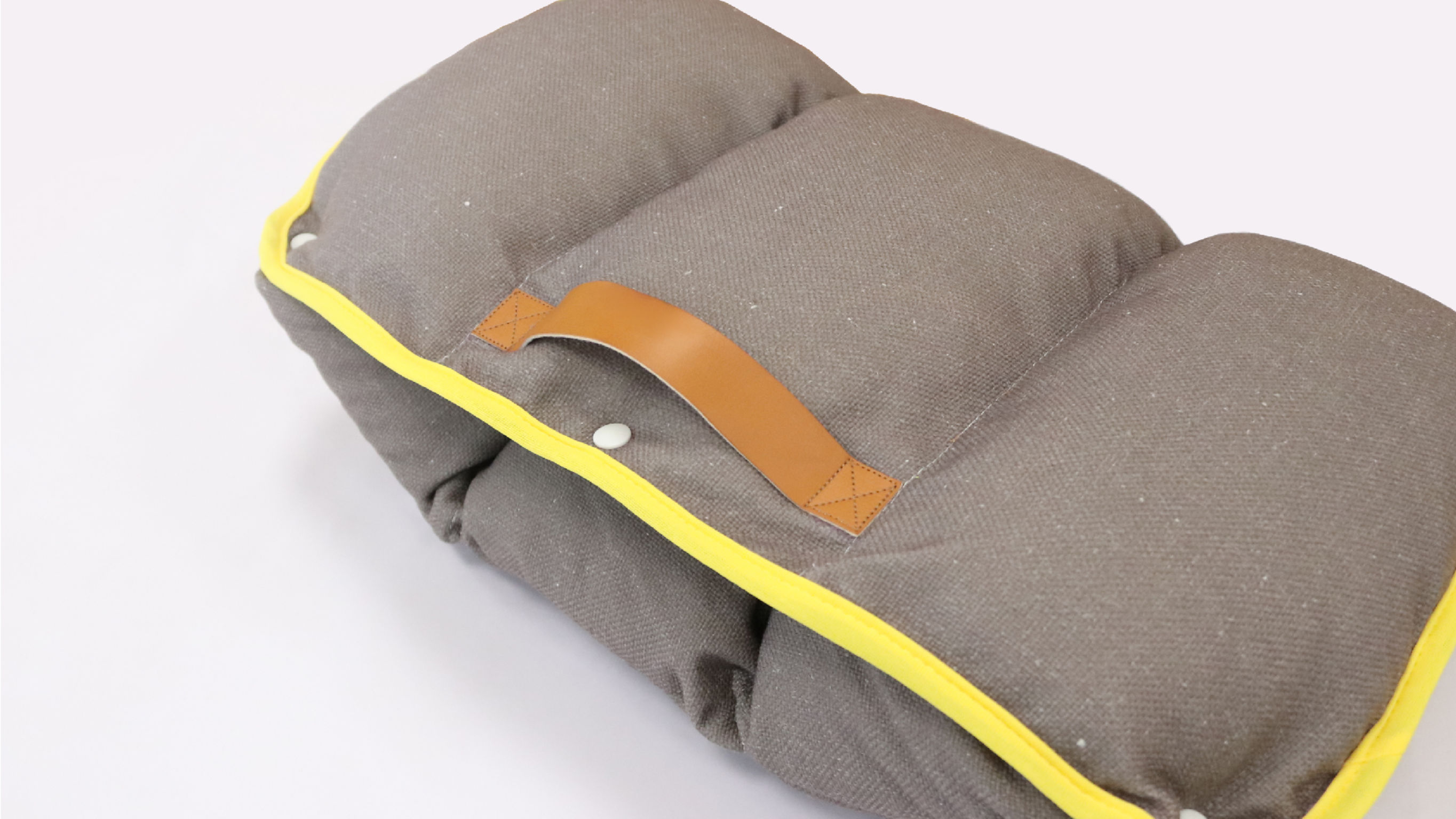 product design，leisure time，Pet accessories，