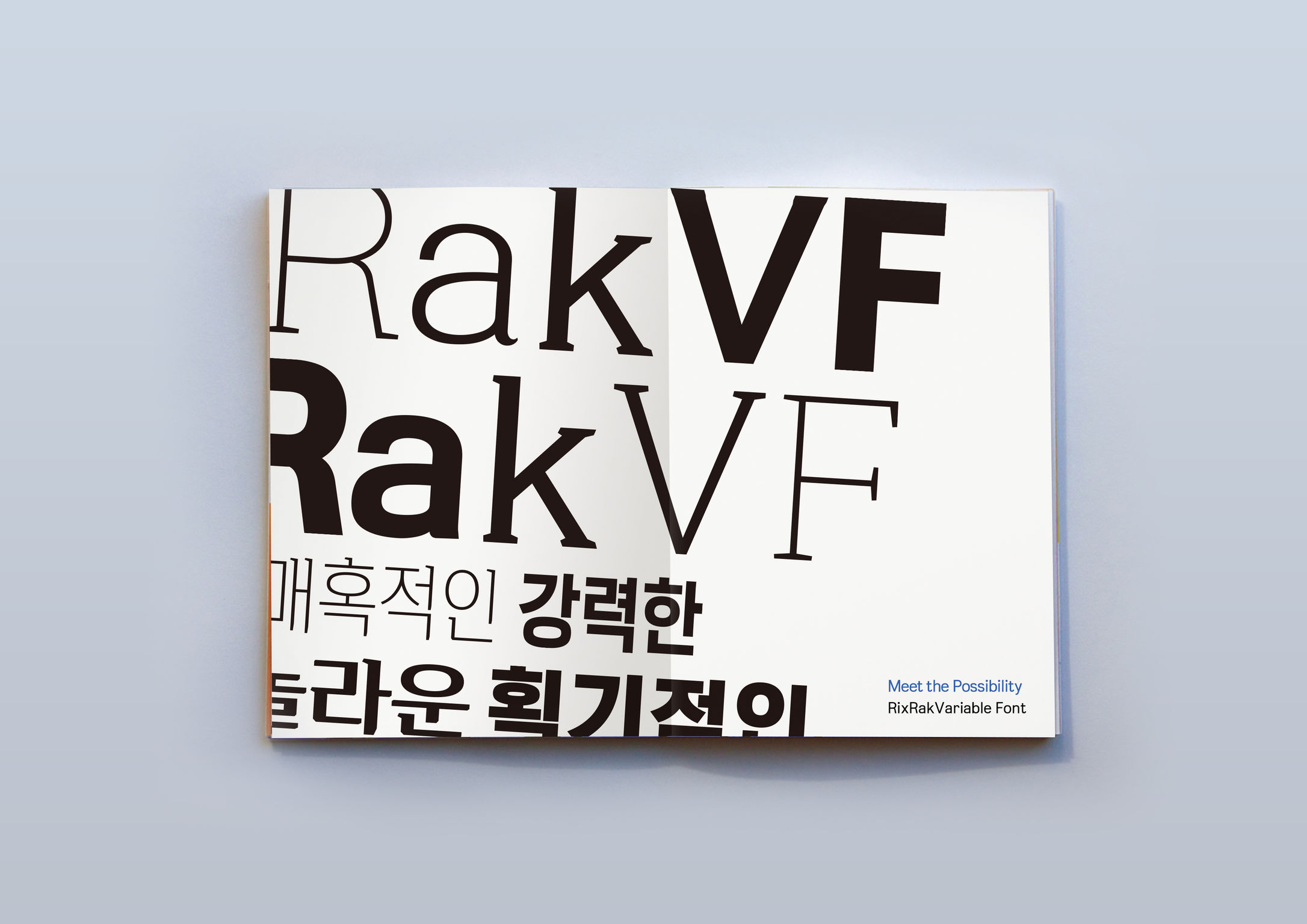 Communication design，Typography/signage，typeface，