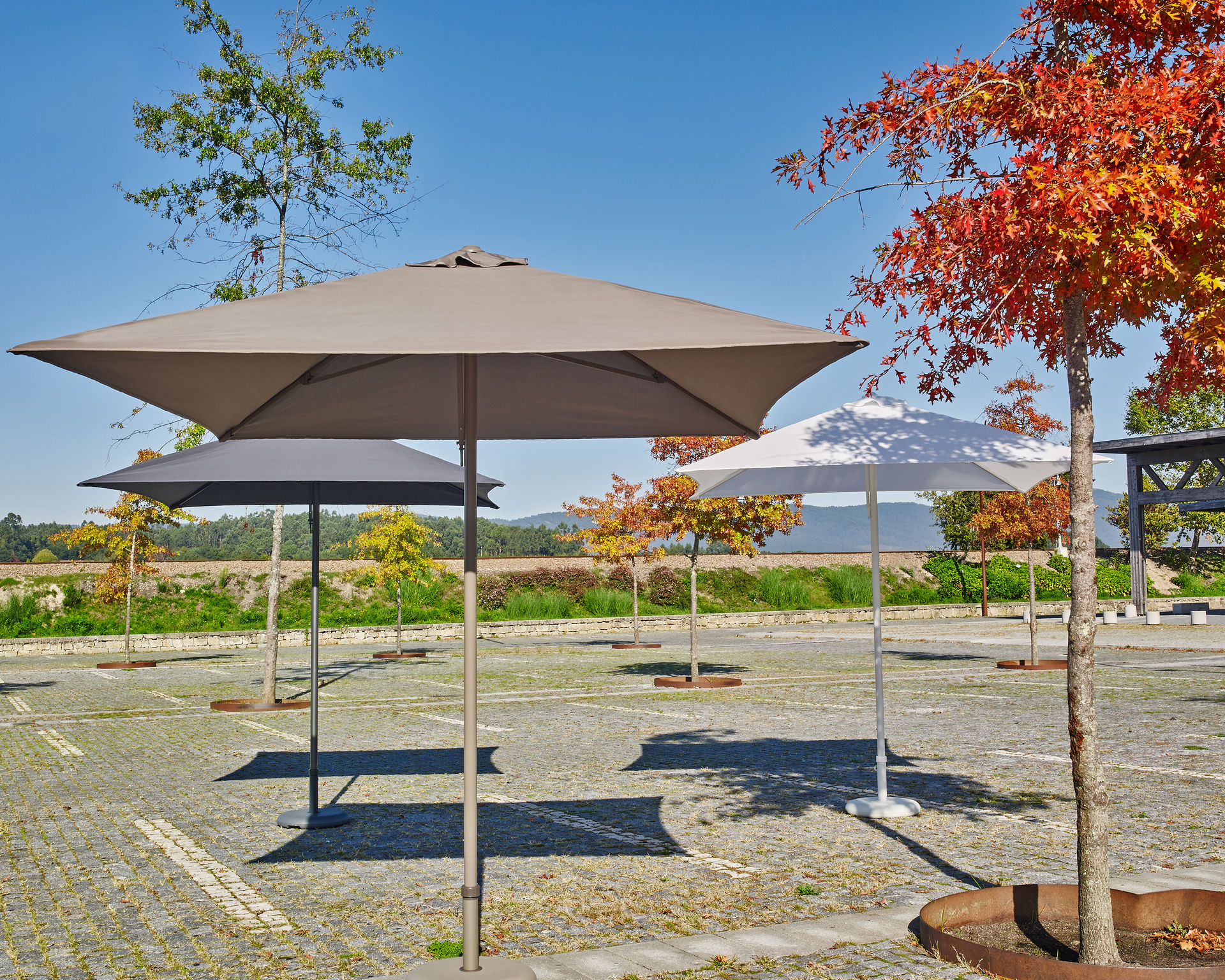 product design，courtyard，Air purification umbrella，