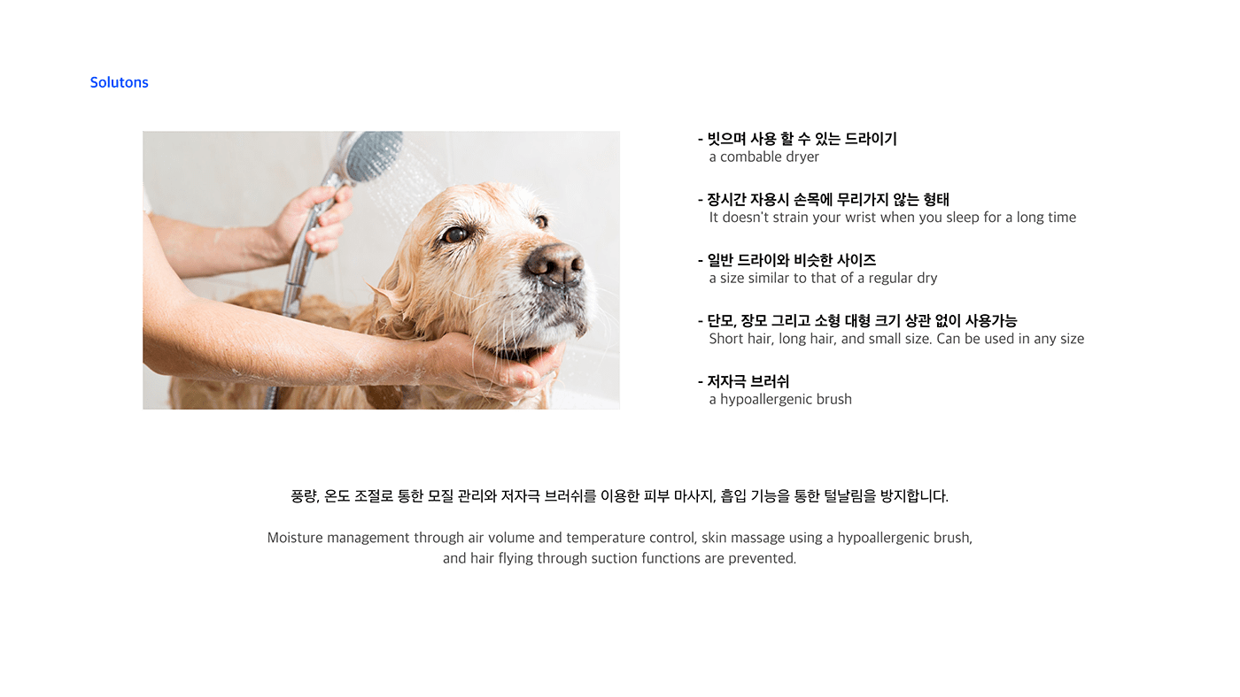 Pets，Take a bath，Wash hair，Design，