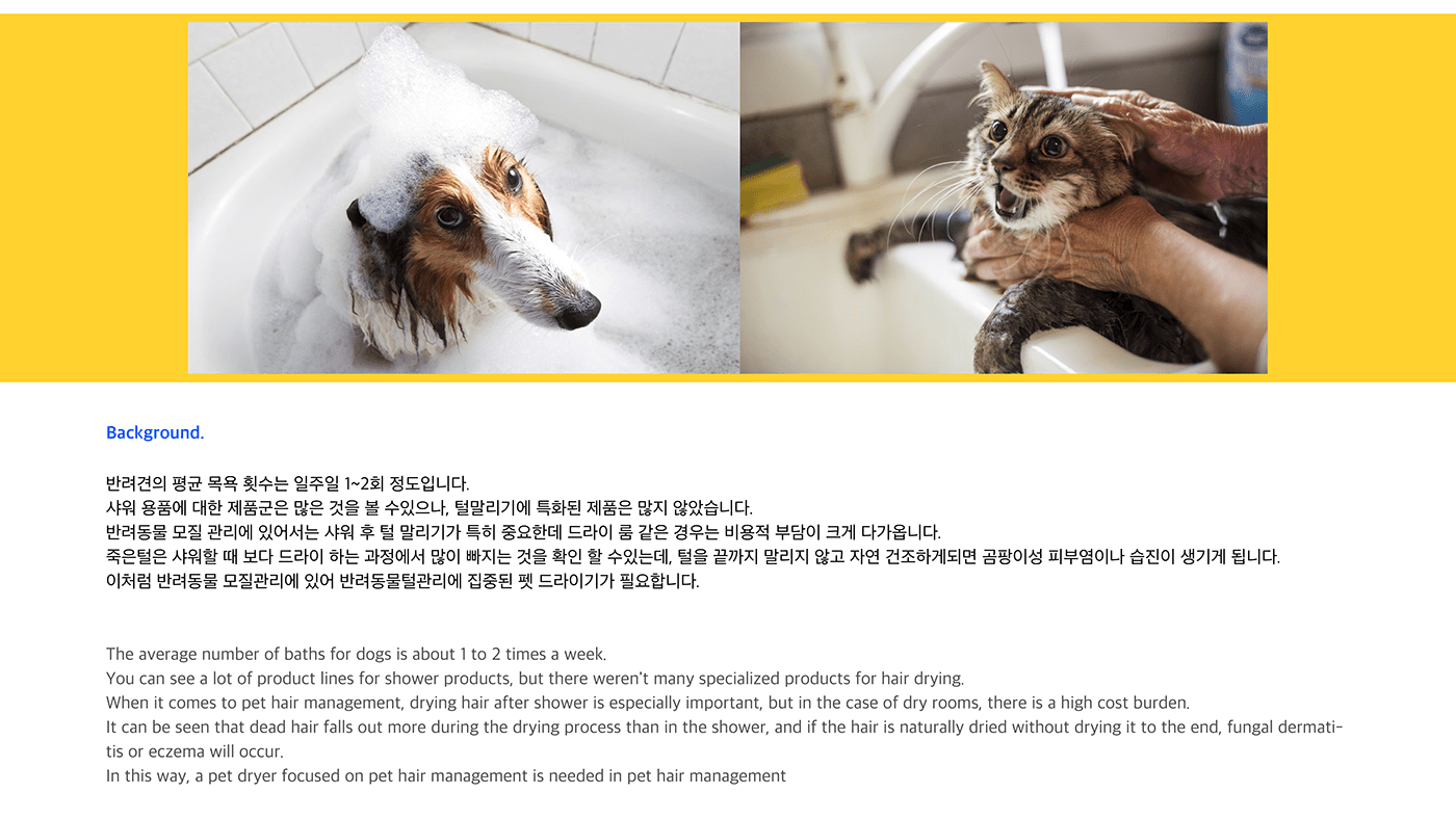 Pets，Take a bath，Wash hair，Design，