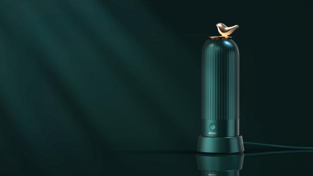 Appearance design，