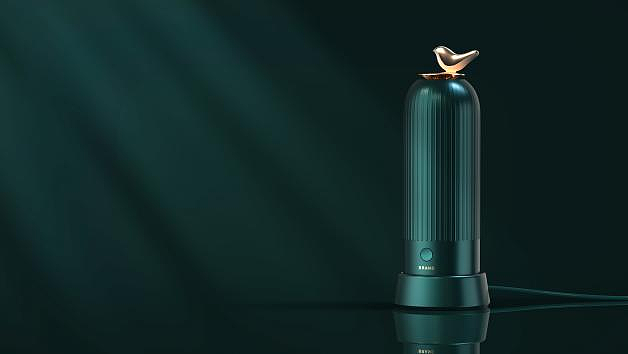 Appearance design，