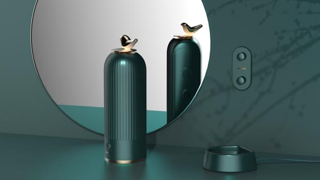 Appearance design，