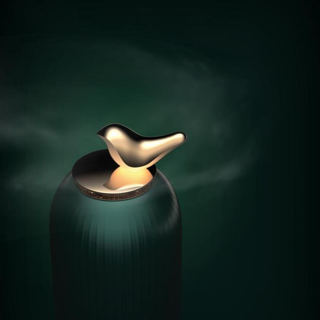 Appearance design，