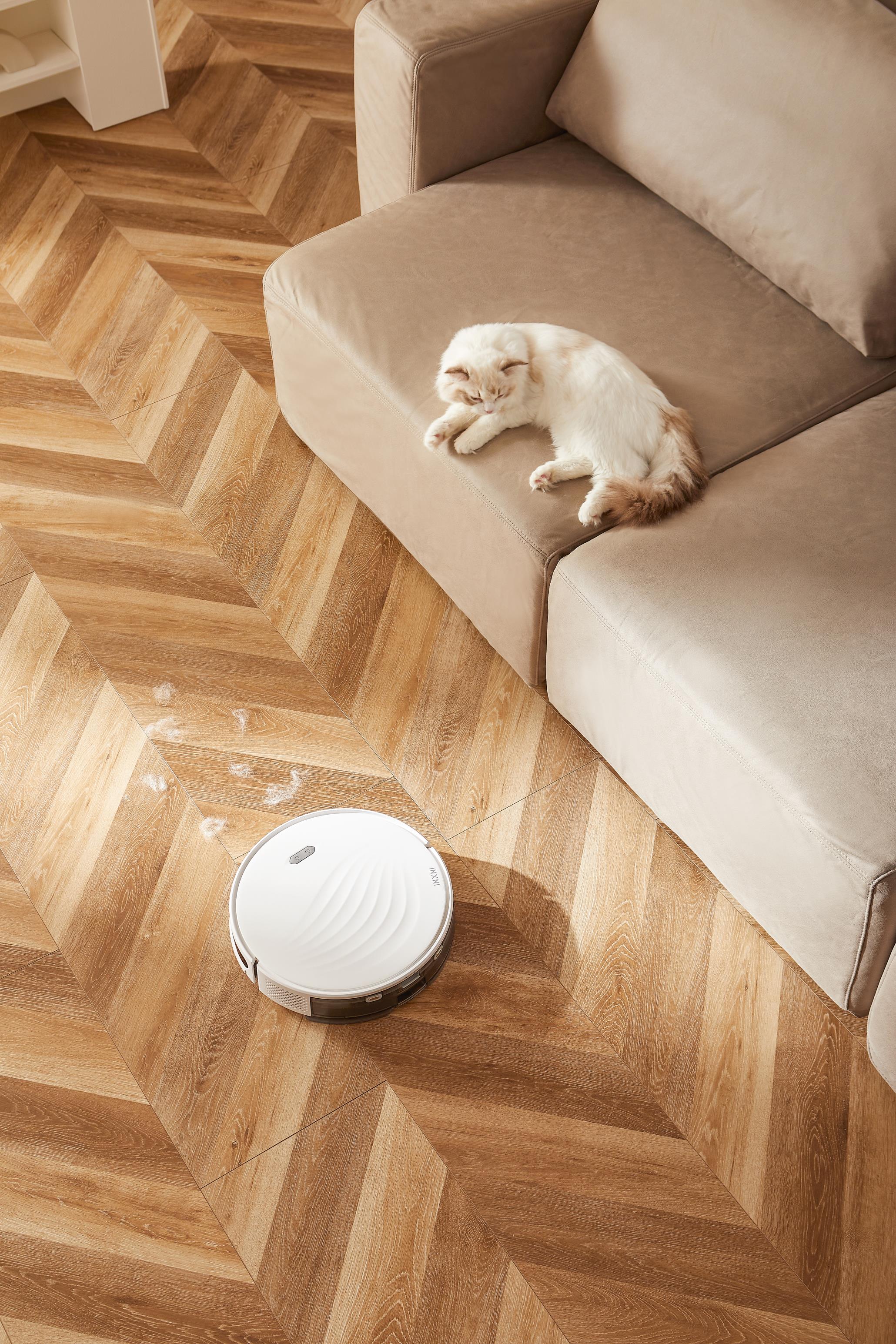 sweeping machine，Self-collecting dust，household electrical appliances，intelligence，Art of life，clean，indoor，Vacuum, sweep, mop the floor，