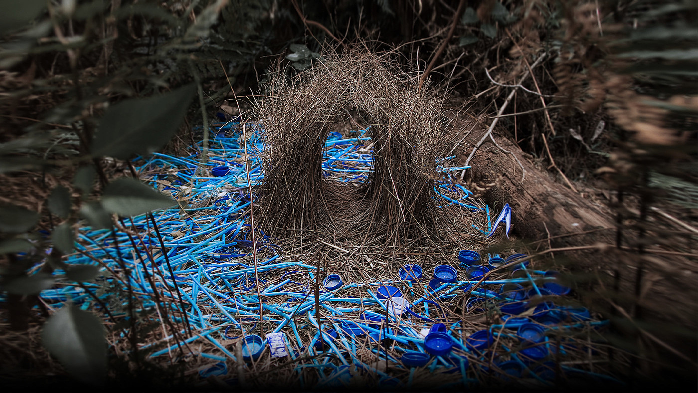 environmental protection，Environmental protection design，recycling，product design，