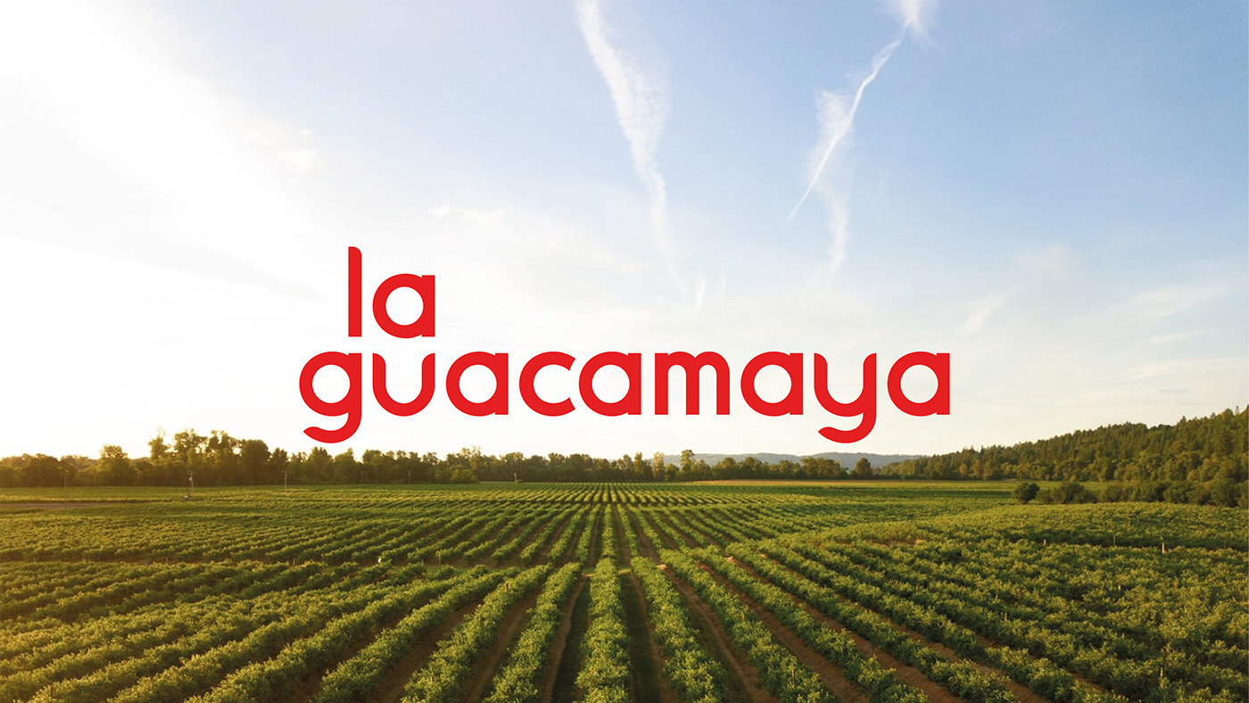 graphic design ，packing design，brand，La Guacamaya，