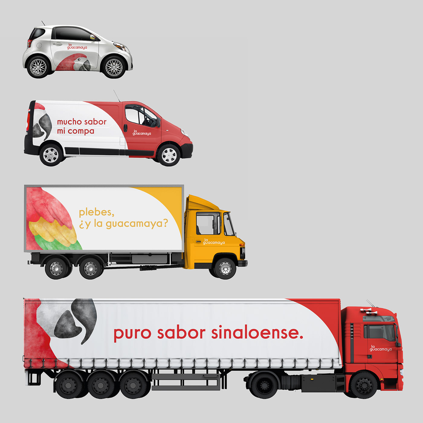 graphic design ，packing design，brand，La Guacamaya，