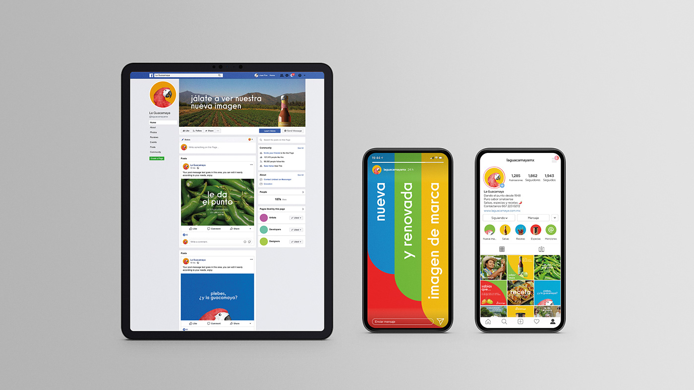 graphic design ，packing design，brand，La Guacamaya，