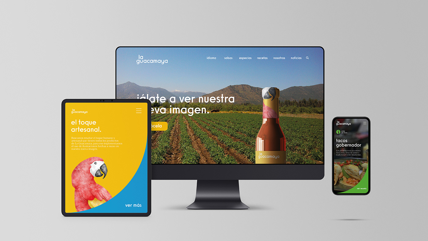 graphic design ，packing design，brand，La Guacamaya，