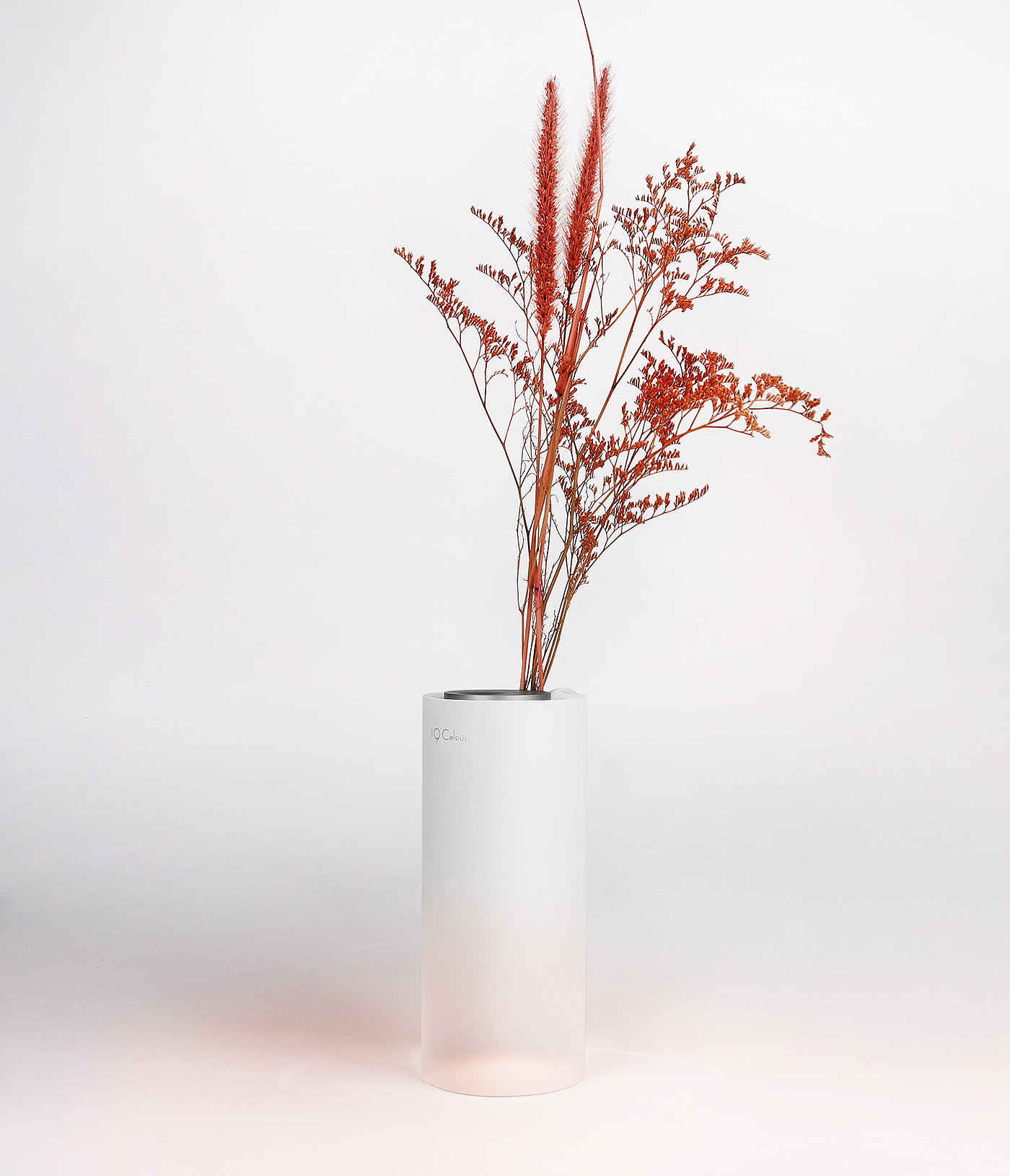 Second Collection，Sustainable design，product design，